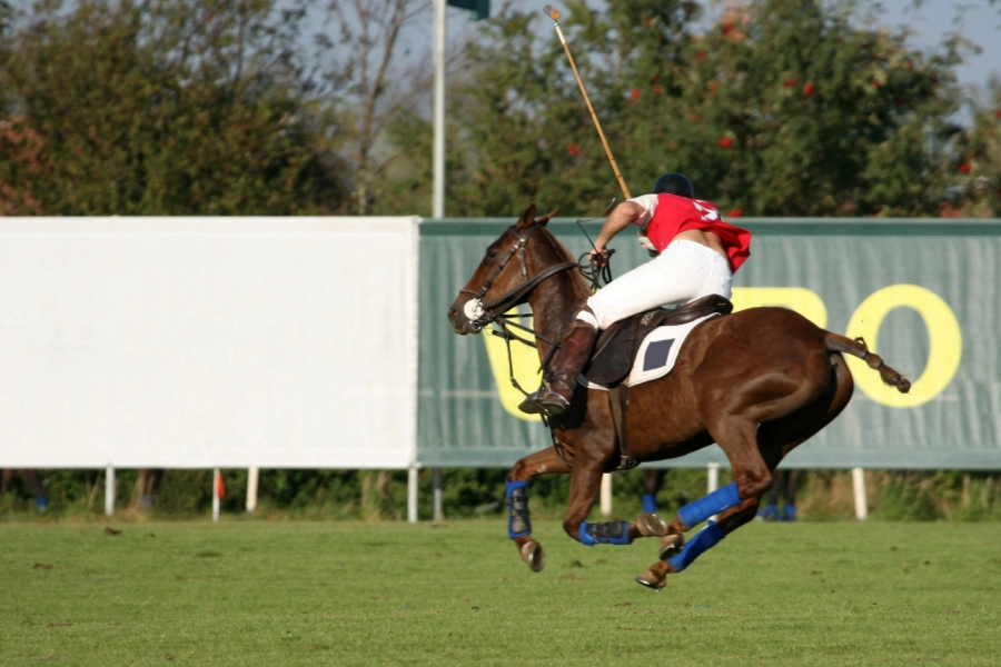 Polo Sporunun Efsane Oyuncuları ve Başarıları