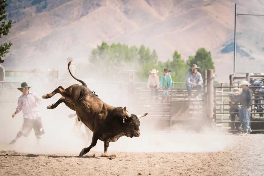 Rodeo Sporunun Efsanevi Yıldızları ve Başarıları