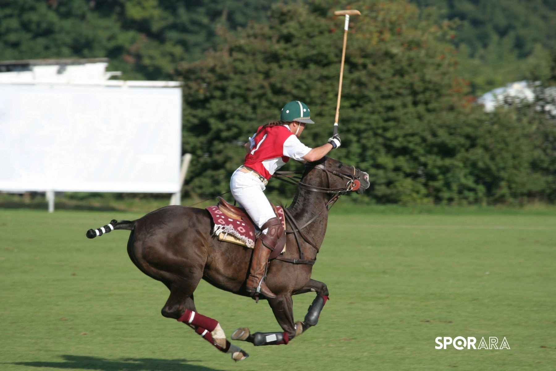 Polo Sporundaki Temel Teknik Terimler ve Açıklamaları