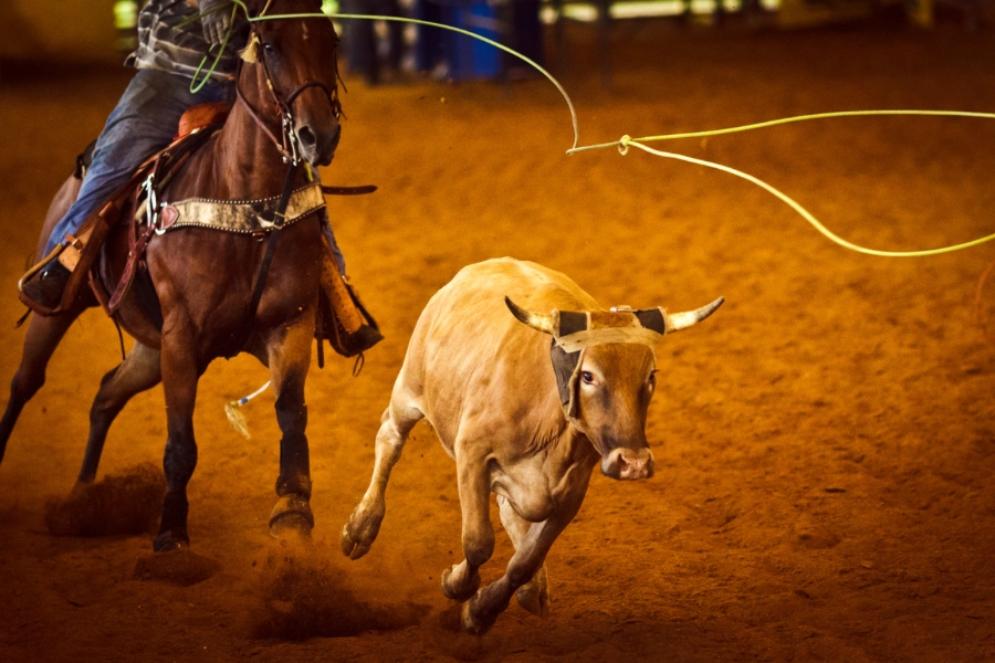 Rodeo Sporu Ekipmanları Nelerdir? Temel Malzemeler