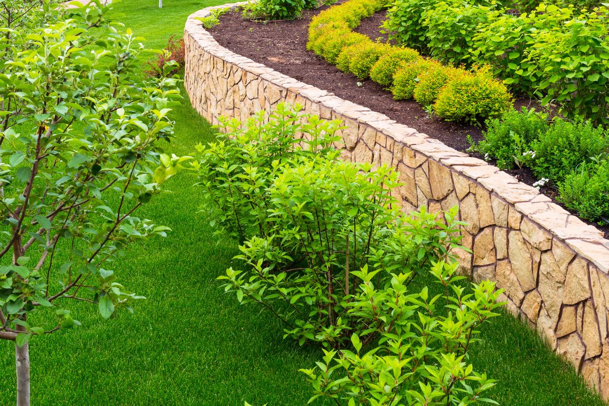 Garden Maintenance Spring Hill 