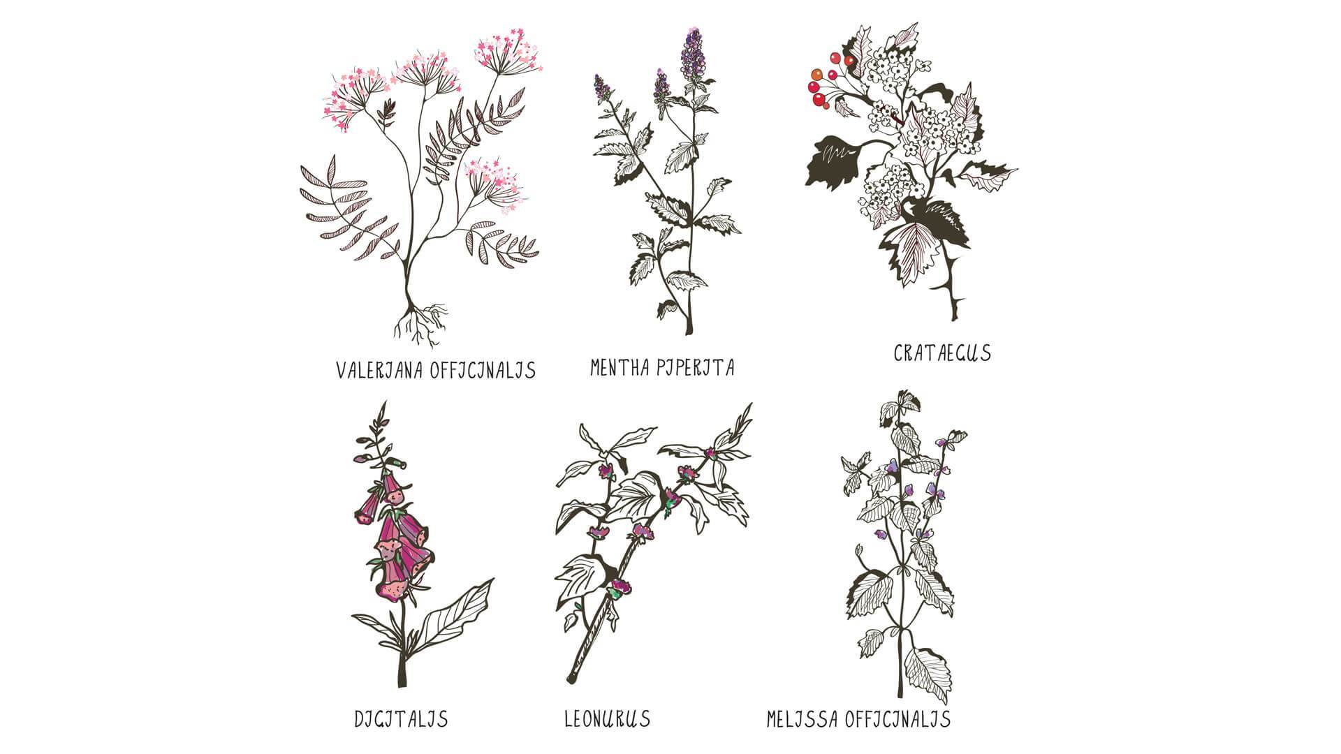 hangi bitkiler damarları açar