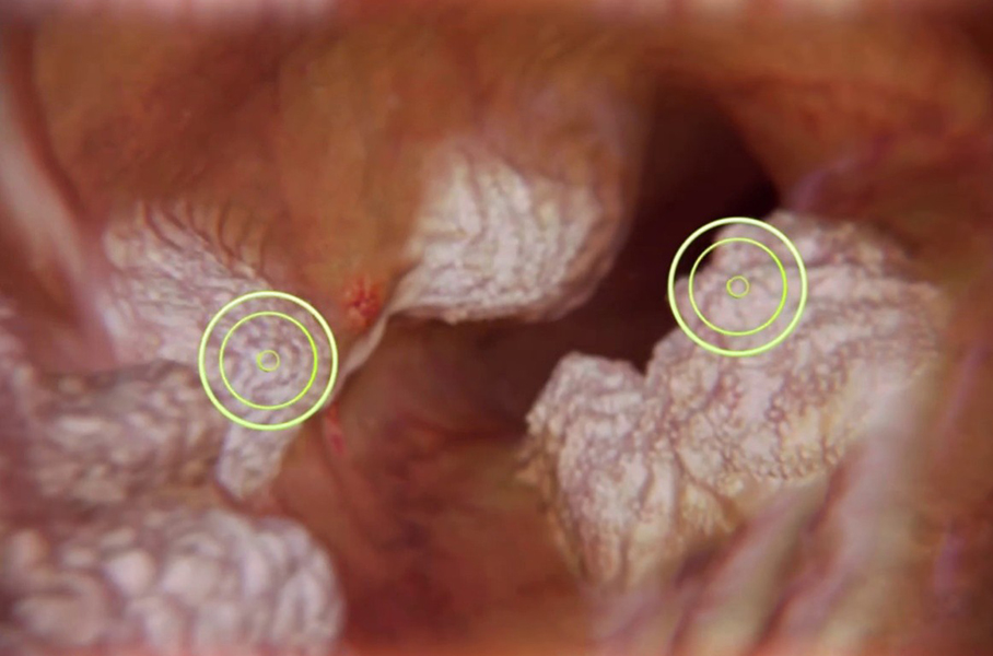 Prof. Dr. Şükrü Akyüz