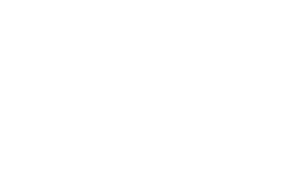 Stand Up Bern