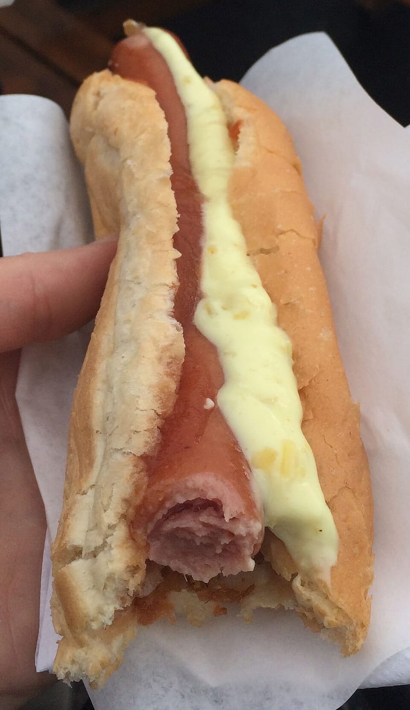 A Bæjarins Beztu Pylsur hot dog with toppings in a paper tray.