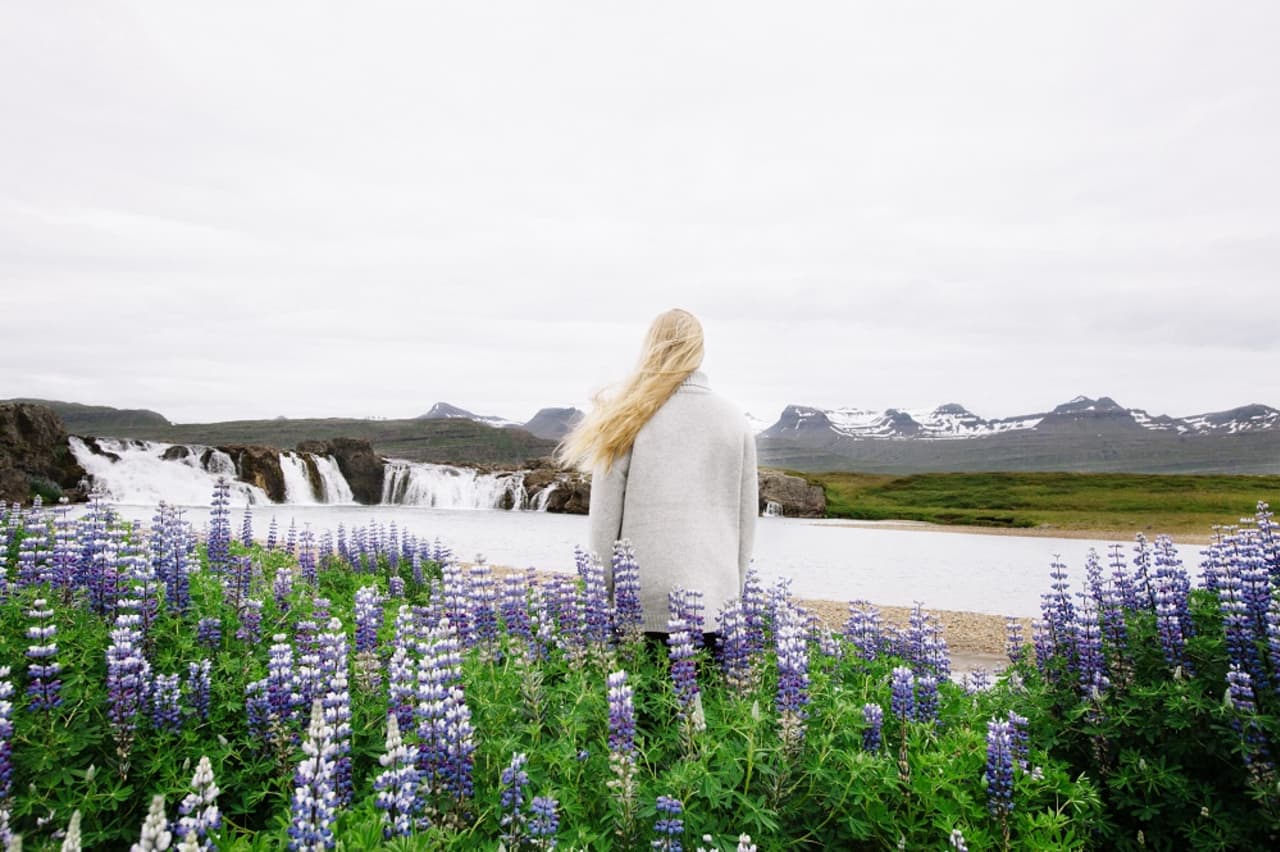 Visitor facing Beljandi Waterfall across lupines and Breiðdalsá in East Iceland.