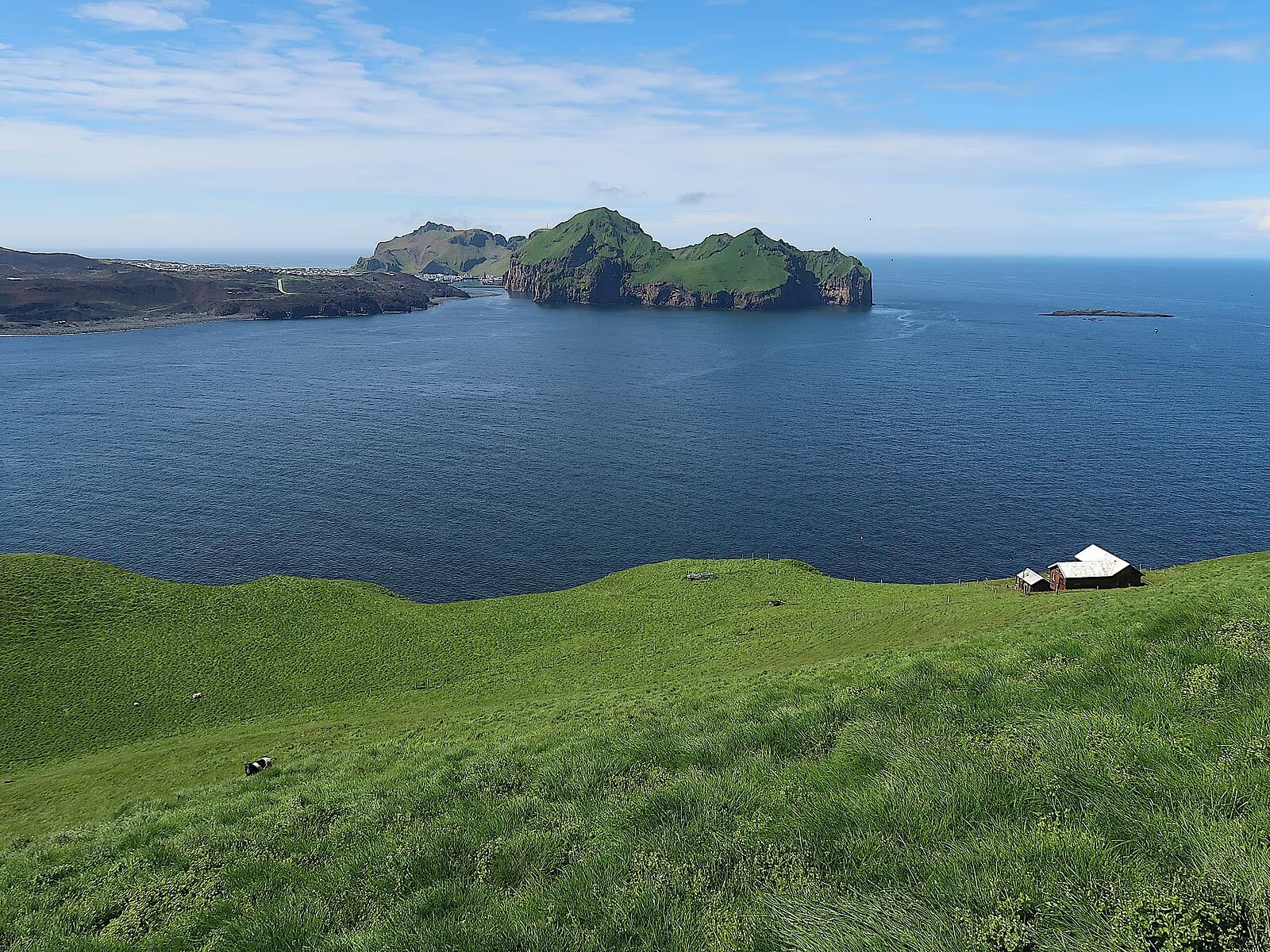 Bjarnarey Island rising from the sea with steep green slopes and dark volcanic cliffs in the Westman Islands.