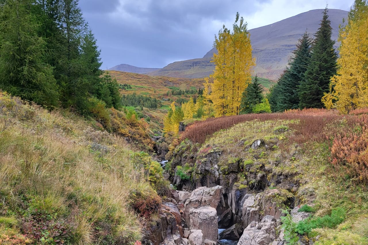 Budara Canyon and Waterfall scenery from the official East Iceland tourism gallery.