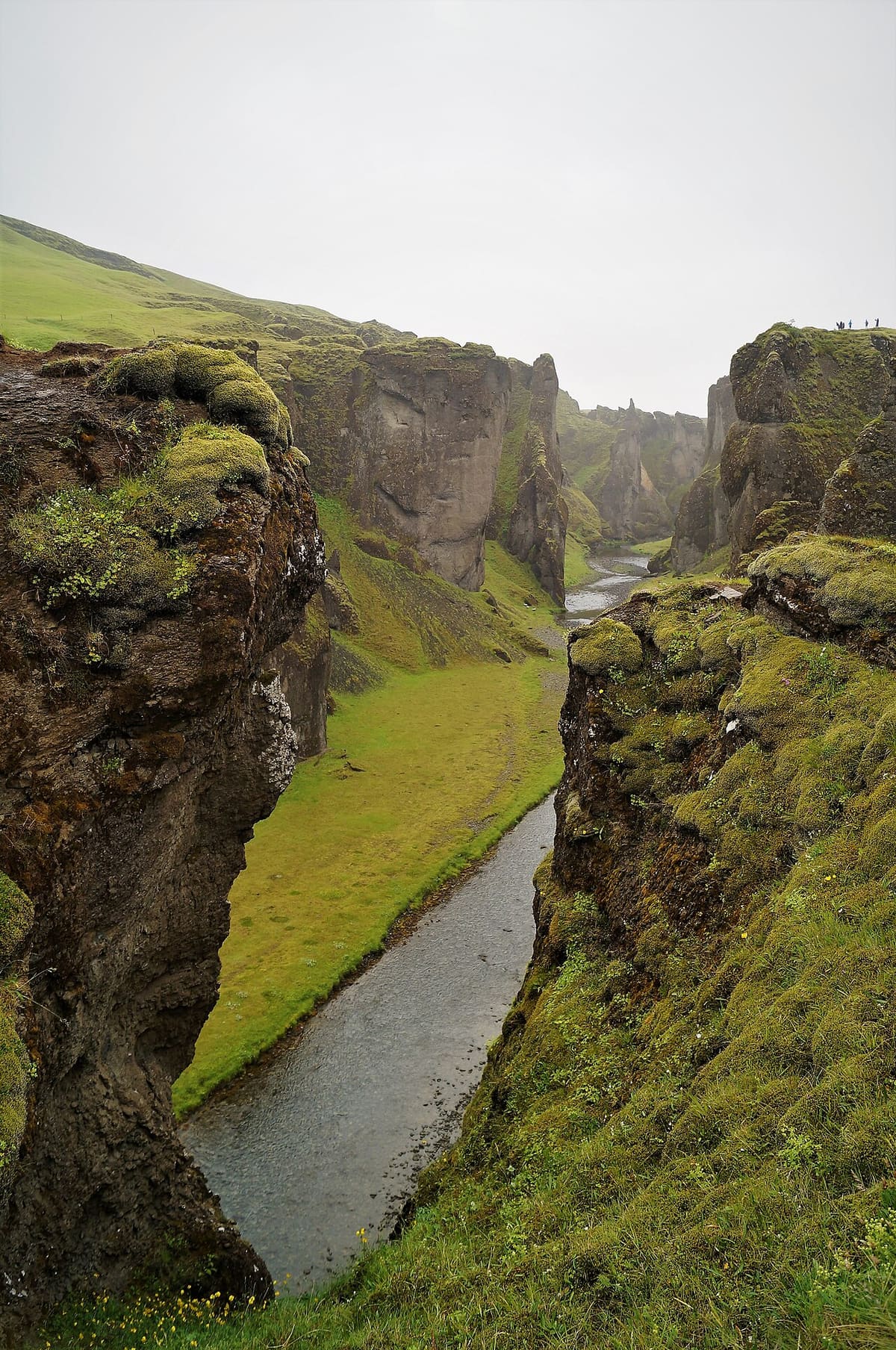Deep green walls and the winding river seen from the marked rim side of Fjaðrárgljúfur.