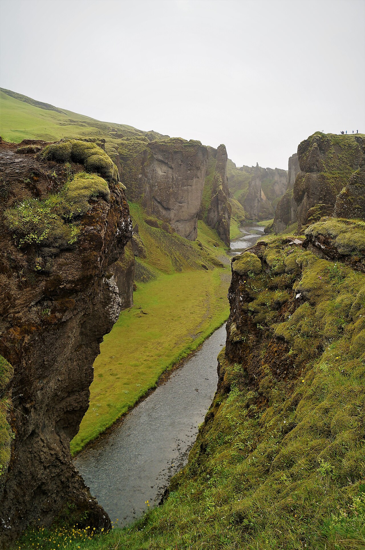 Deep green walls and the winding river seen from the marked rim side of Fjaðrárgljúfur.