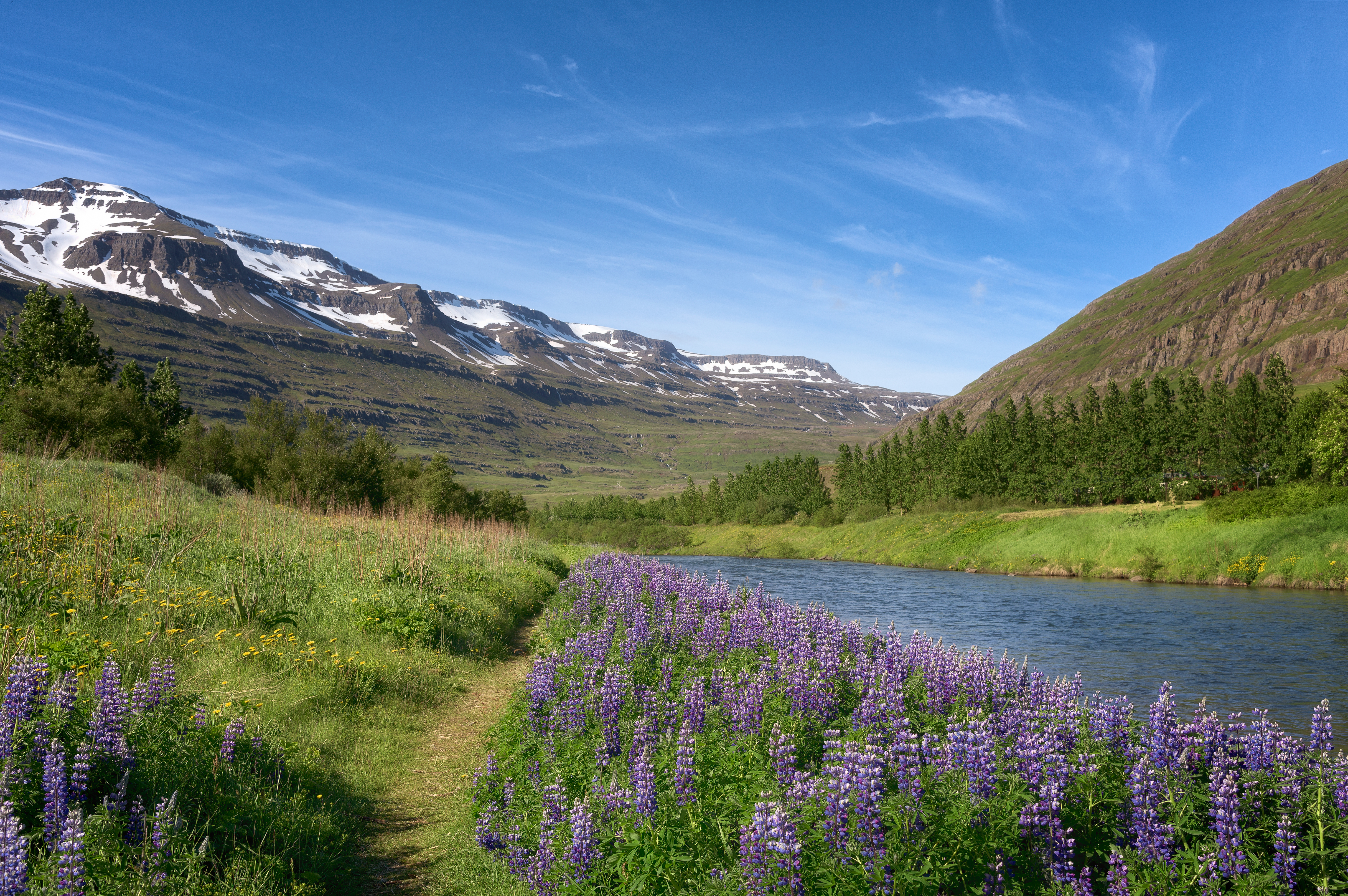 The Fjarðará River flowing through Seydisfjordur in East Iceland.