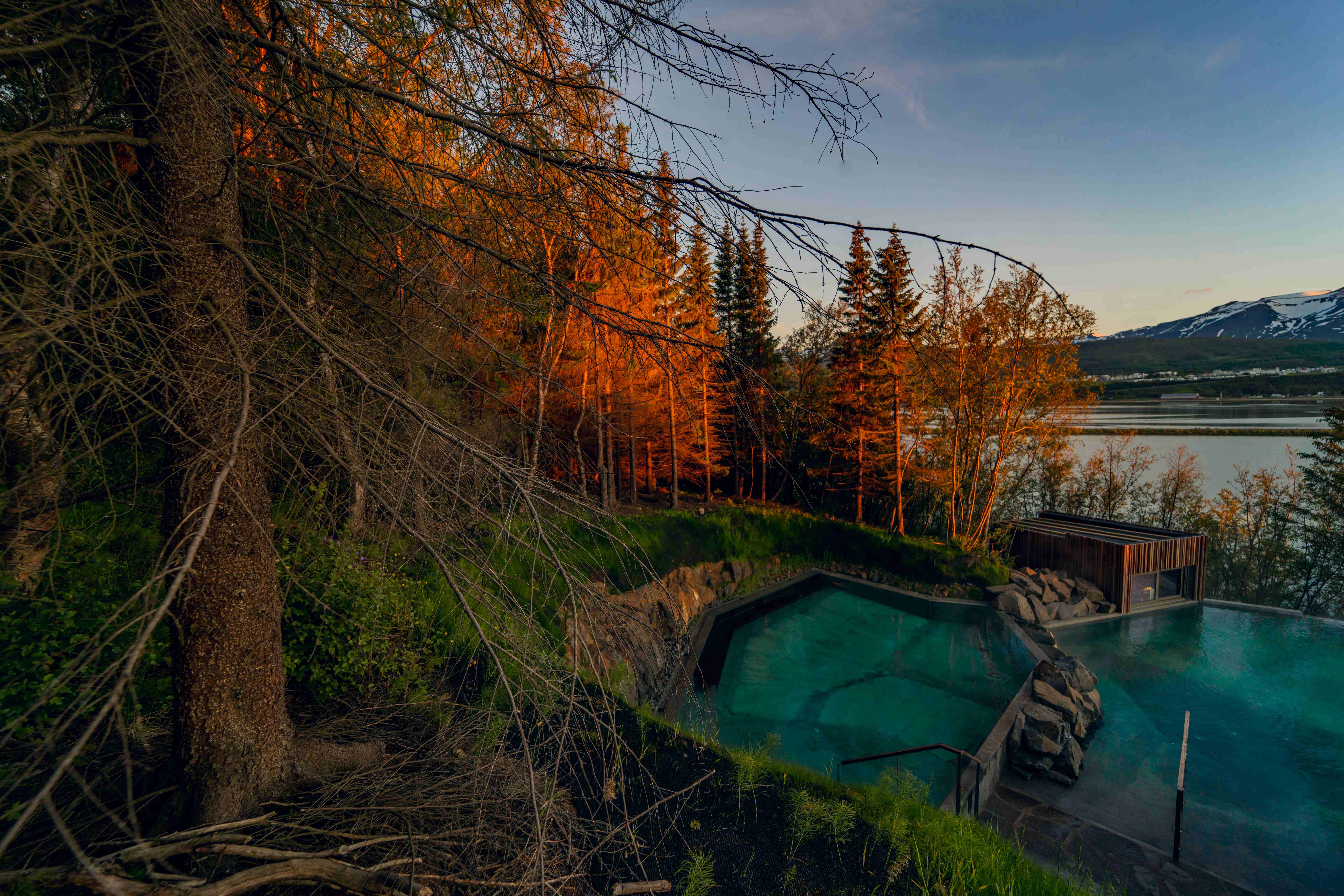 Forest Lagoon pools edged by trees with North Iceland mountains beyond