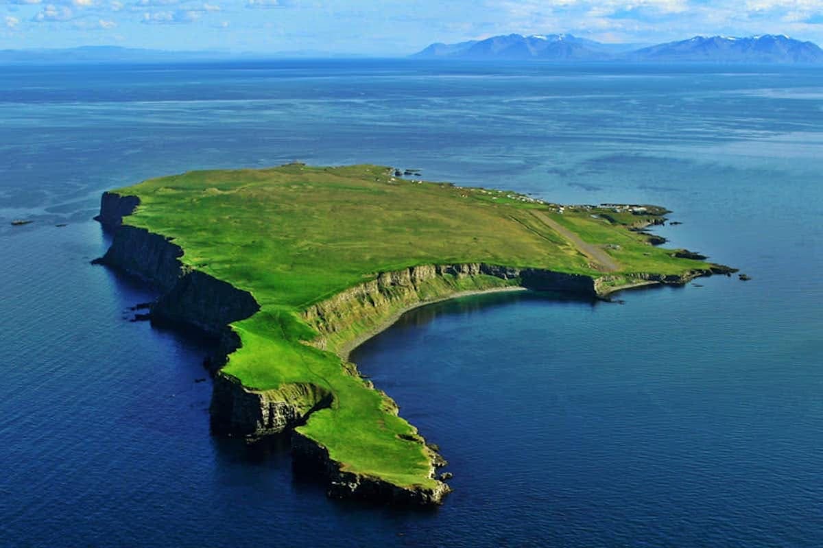 Rugged sea cliffs and green slopes on Grímsey above the ocean.