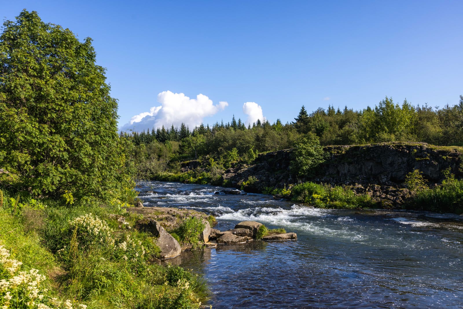 Green riverbank and flowing water in Elliðaárdalur near the Elliðavatn nature cluster.