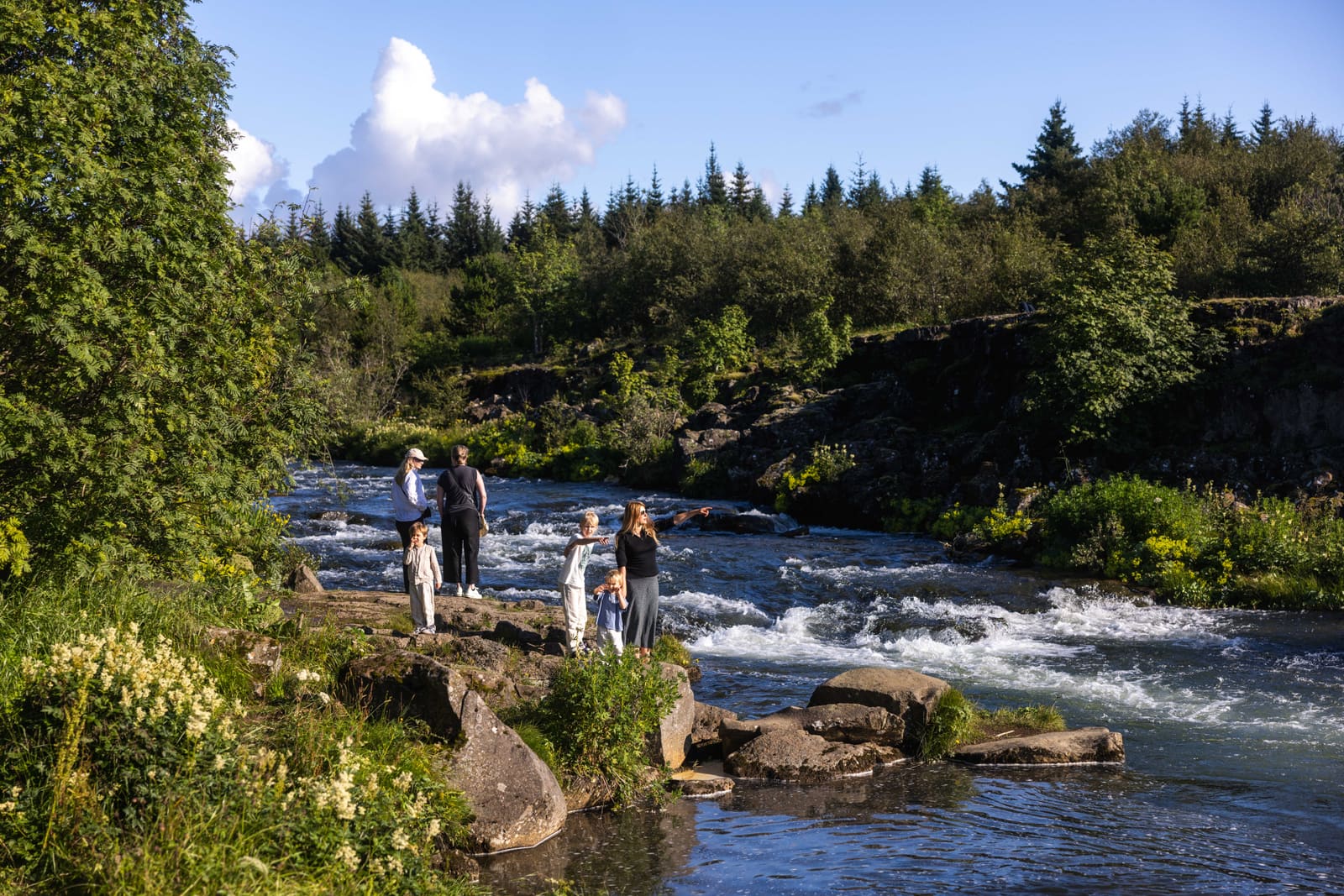 People standing beside the Elliðaá river in the green Elliðaárdalur area of Reykjavík.