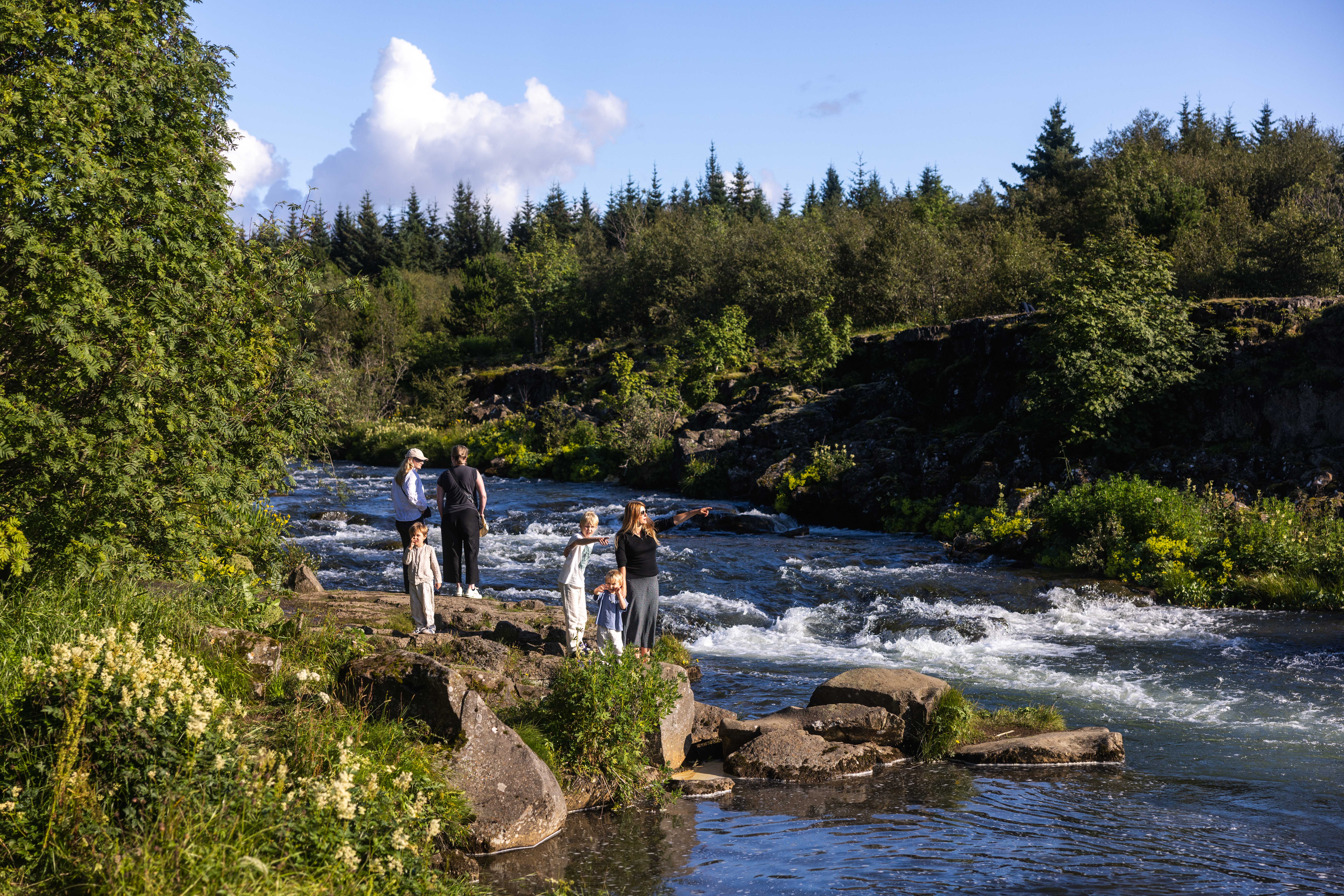 People standing beside the Elliðaá river in the green Elliðaárdalur area of Reykjavík.