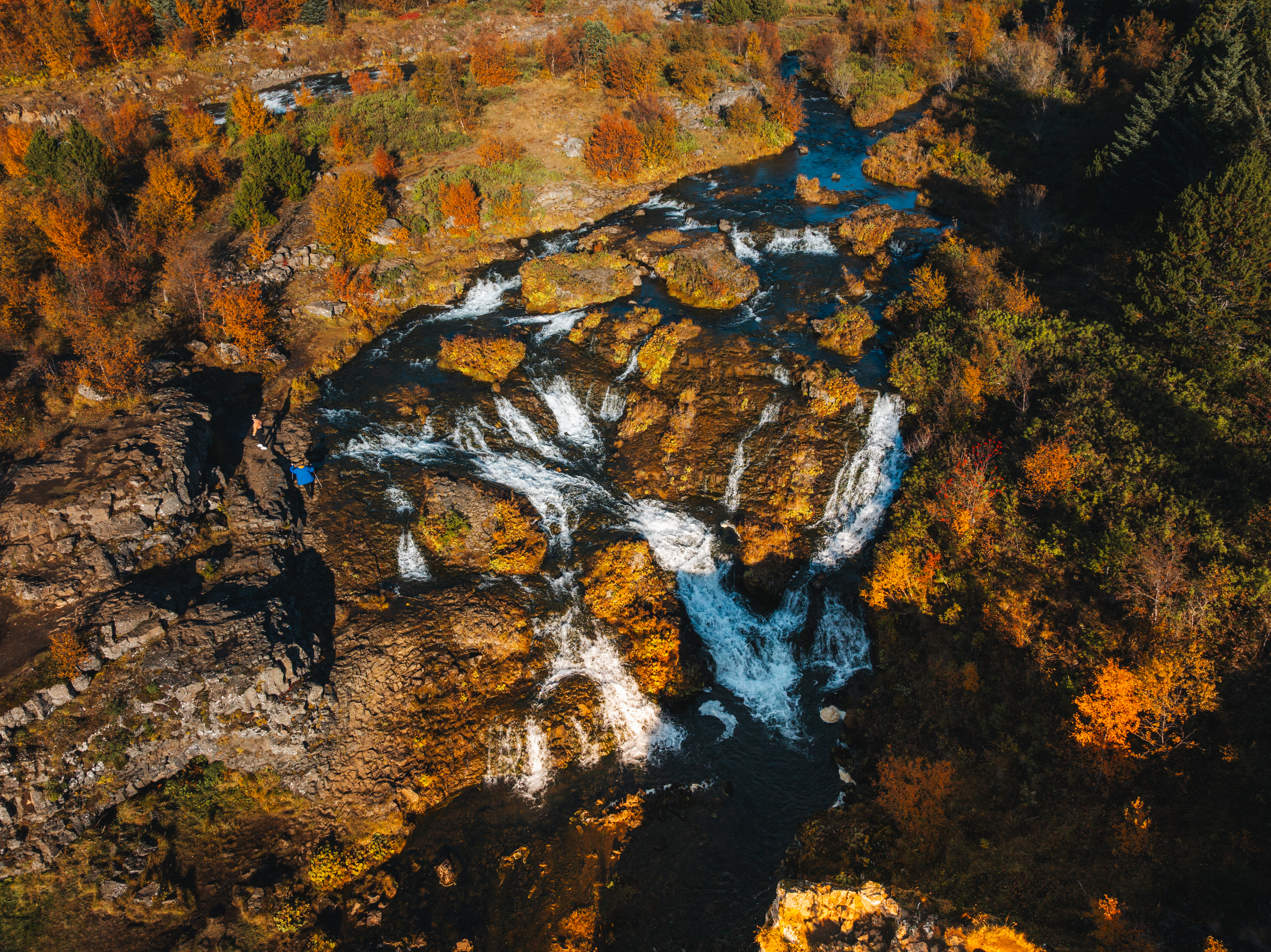 Aerial view of the Elliðaá river corridor with autumn trees in Reykjavík.