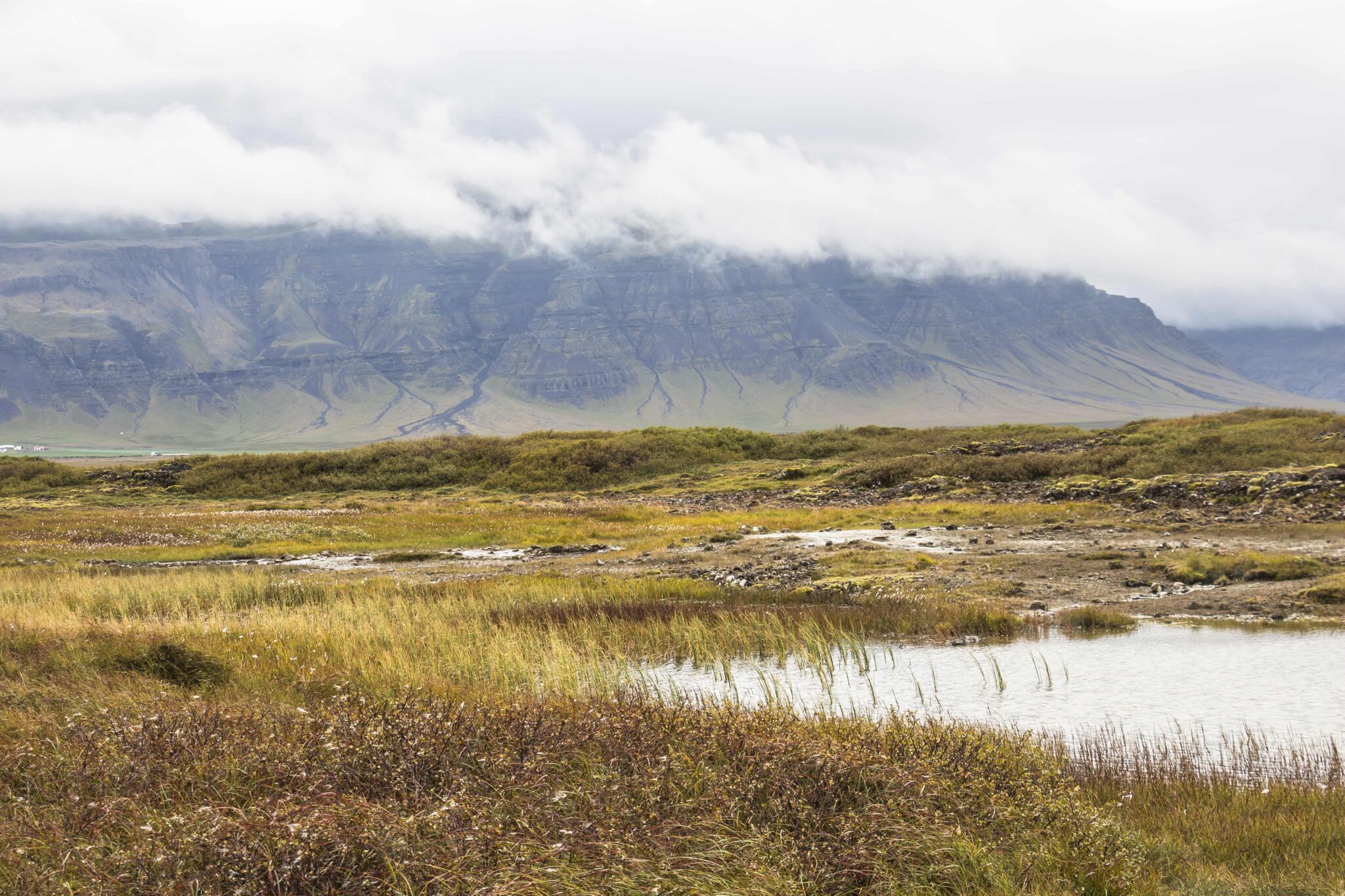 Wet ground, low vegetation, and mountains around the Landbrotalaug hot spring area.