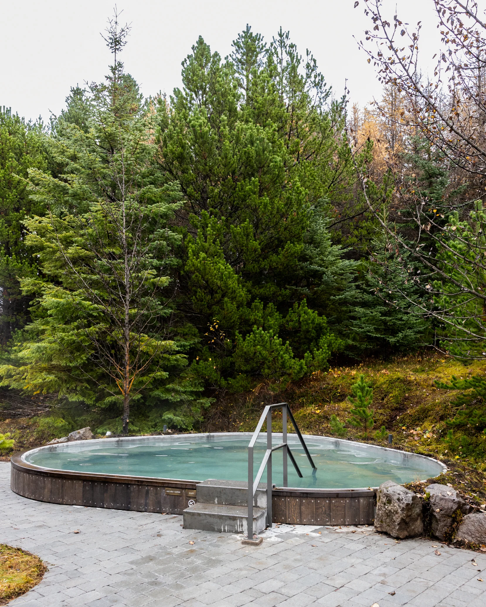 Small round Forest Pool with a handrail beside evergreen trees at Laugarás Lagoon.