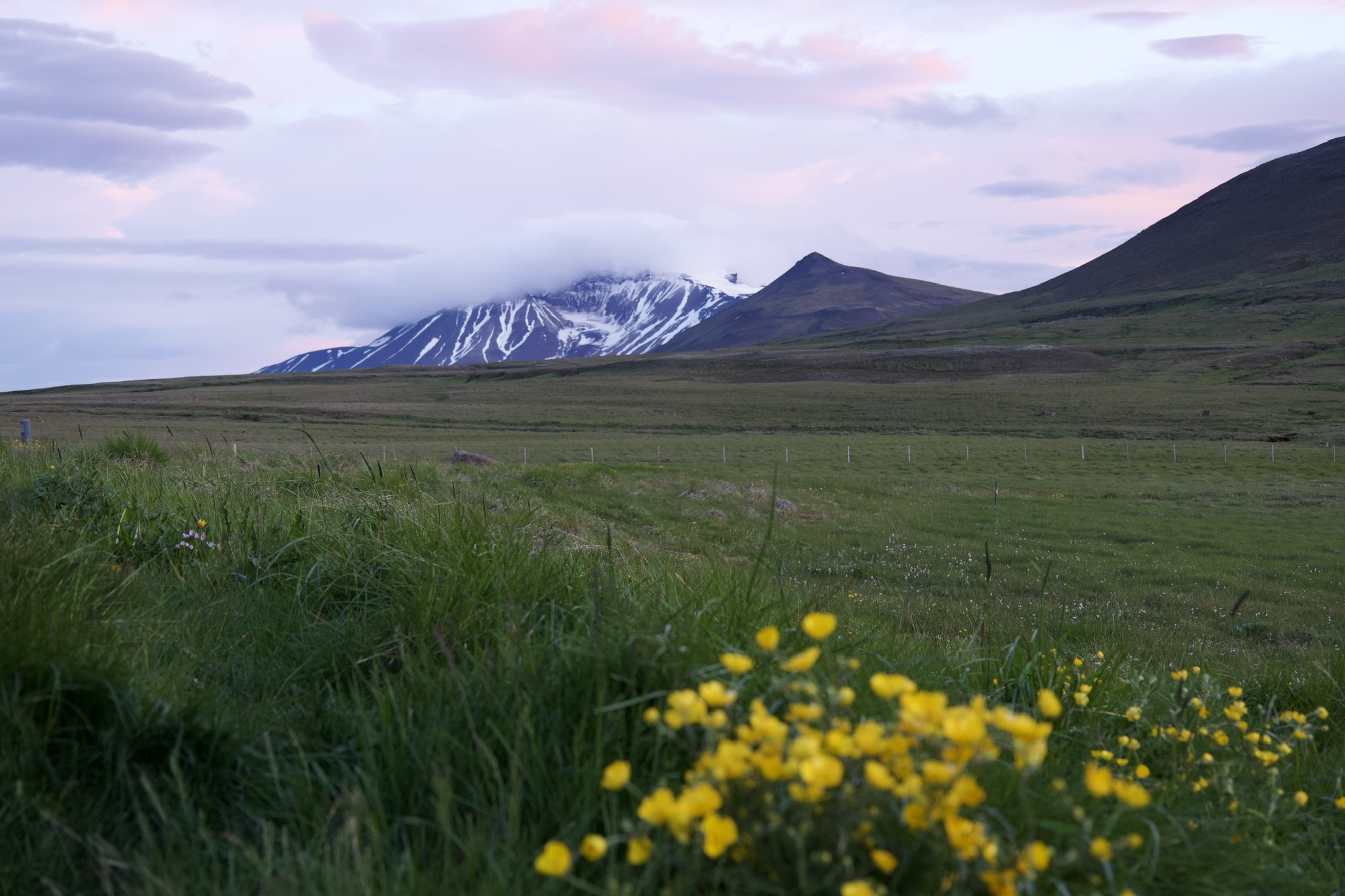 Open highland landscape around Laugarfell with Mount Snæfell visible in the distance.