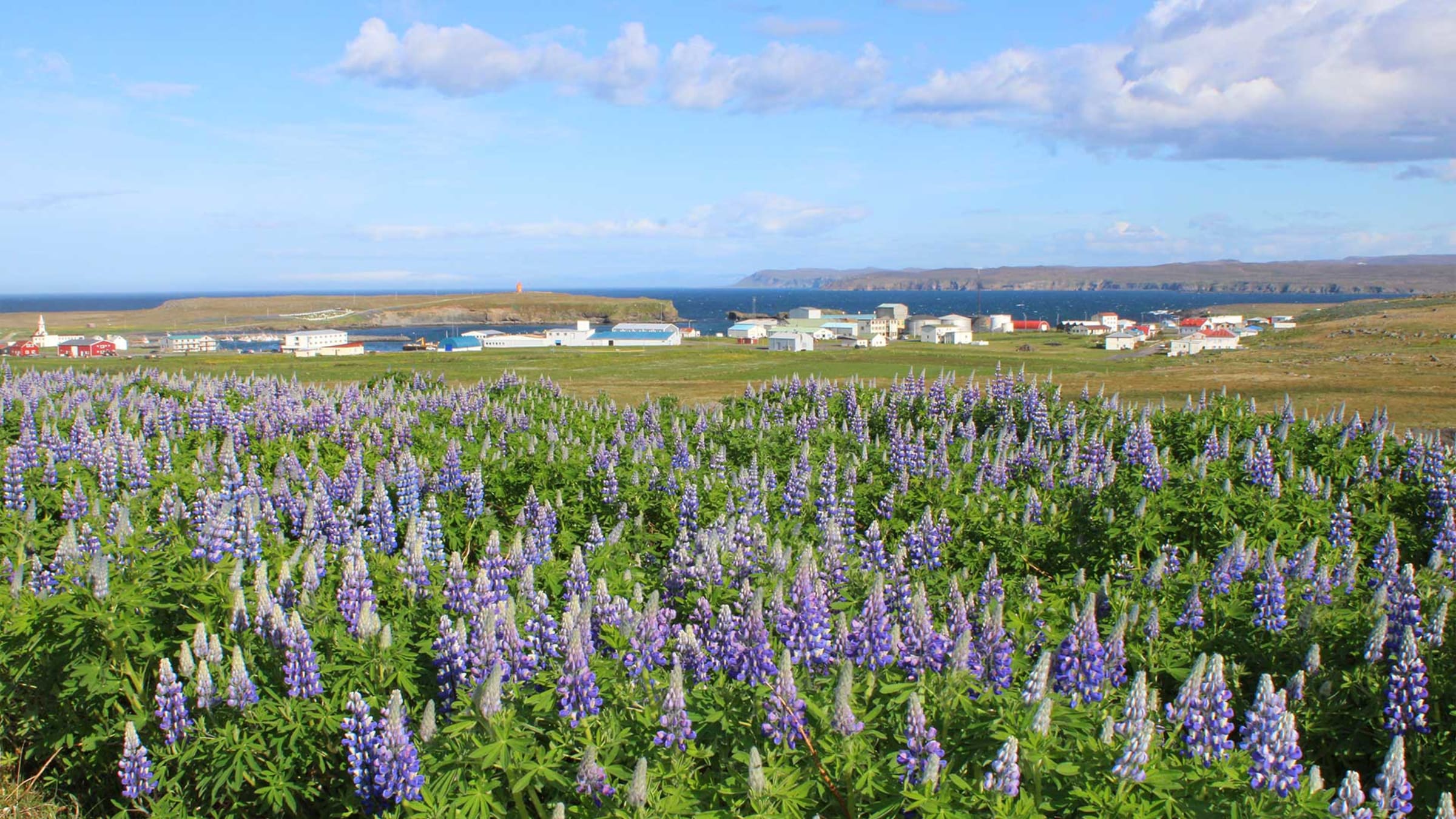 Raufarhöfn fishing village and harbor on the Melrakkaslétta coast.