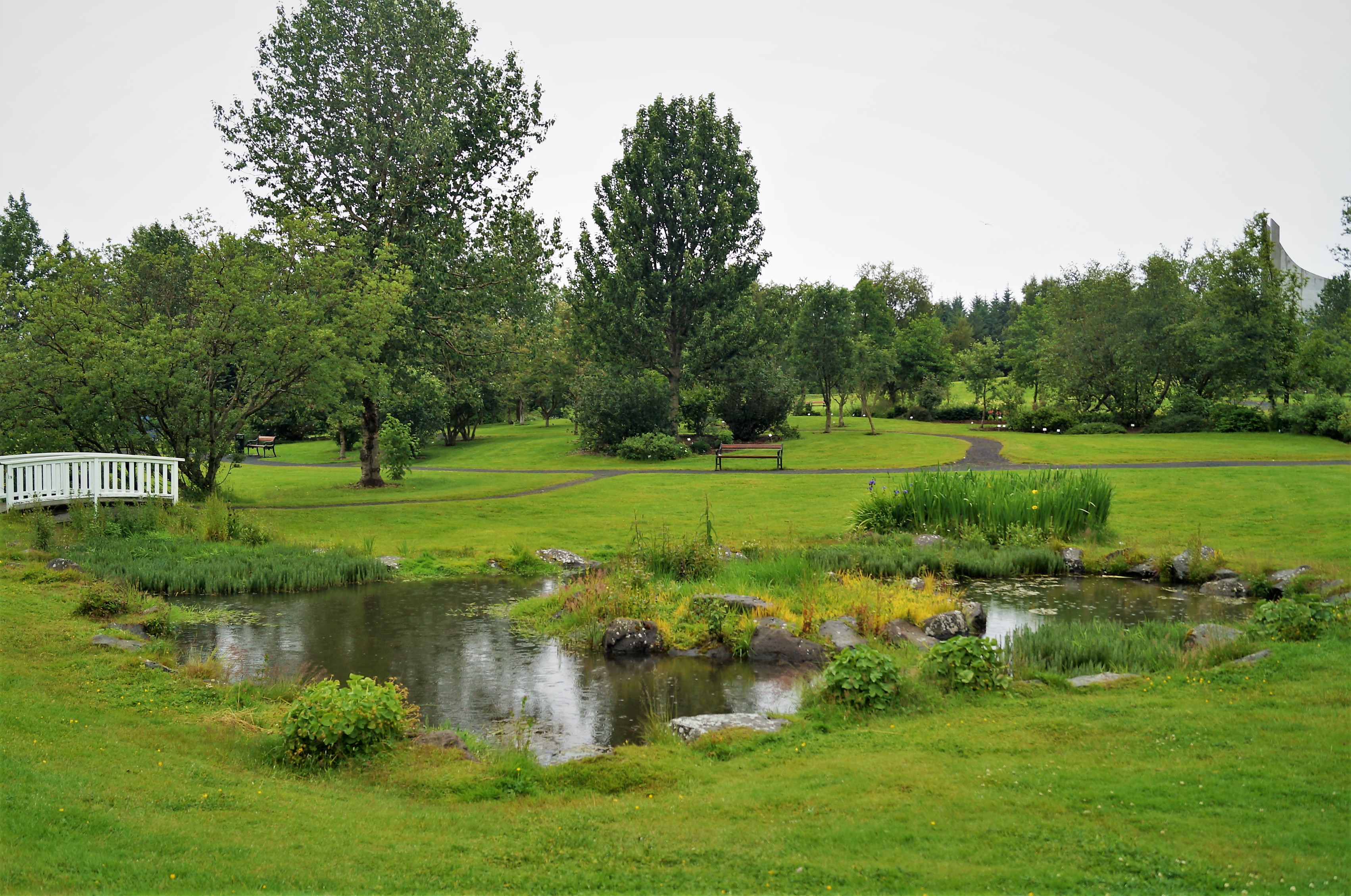 Pond, bridge, and mature trees inside Reykjavík Botanic Garden in Laugardalur.