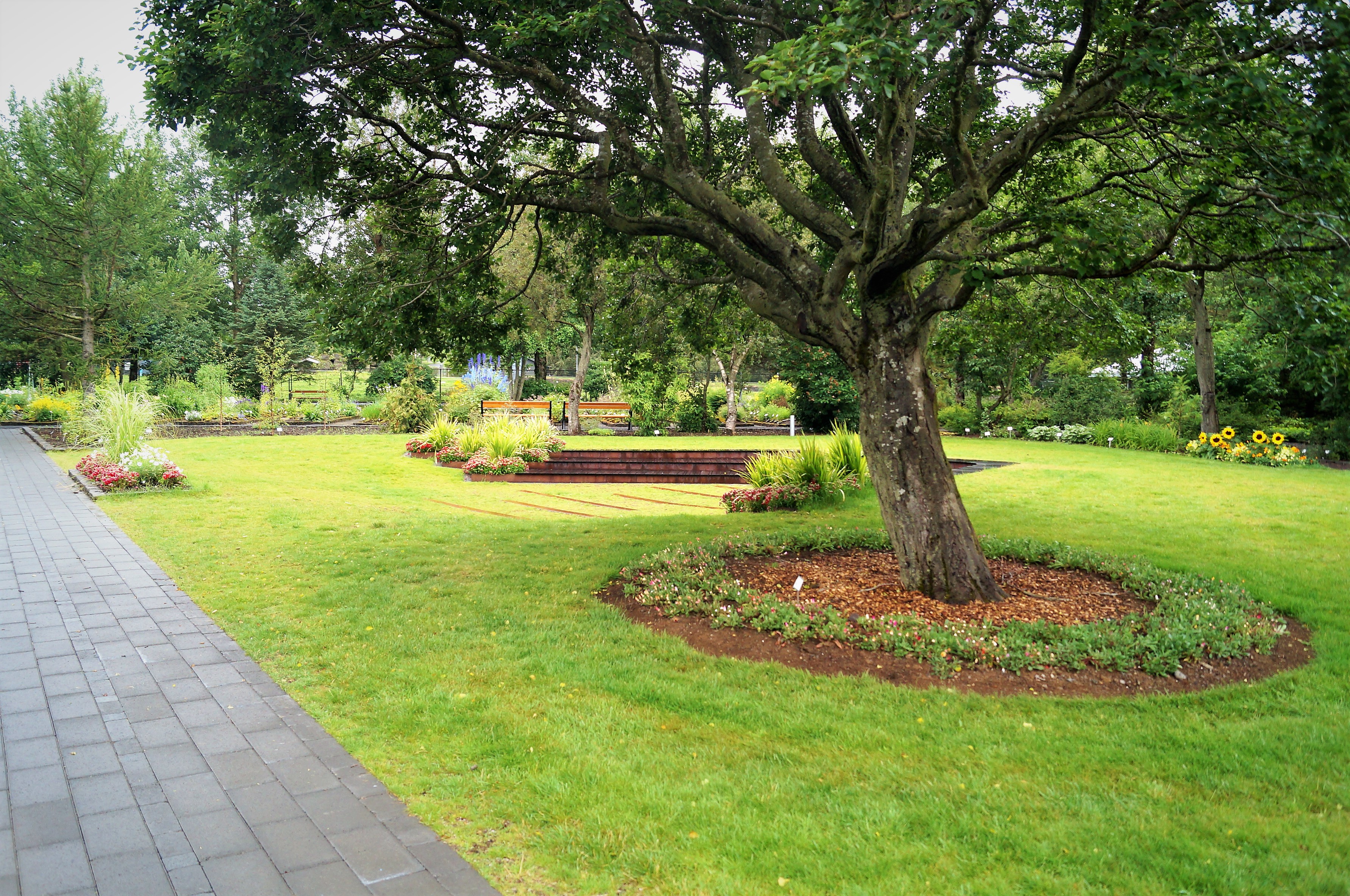 Flower beds, lawns, and trees in Reykjavik Botanic Garden.