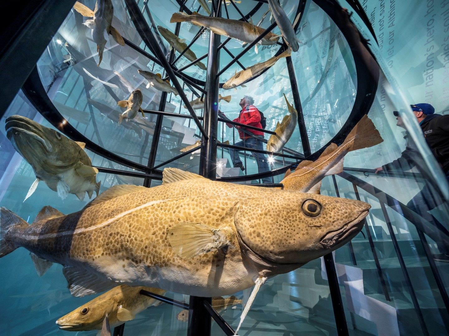 Fish specimens and visitors inside the Fish & Folk exhibition at Reykjavík Maritime Museum
