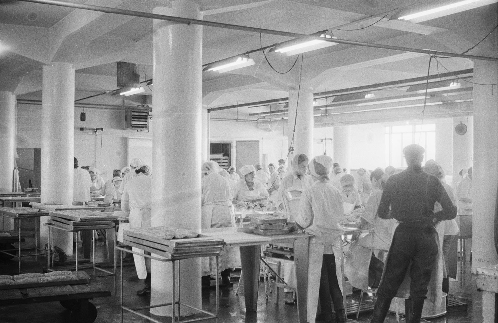 Workers processing fish in the building that now houses Reykjavík Maritime Museum