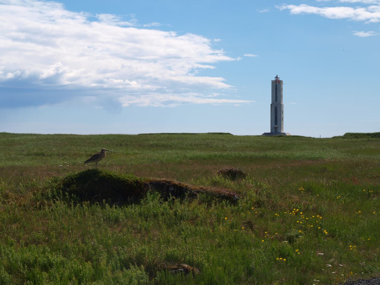 Knarrarósviti lighthouse rising above grassy coastal land near Stokkseyri