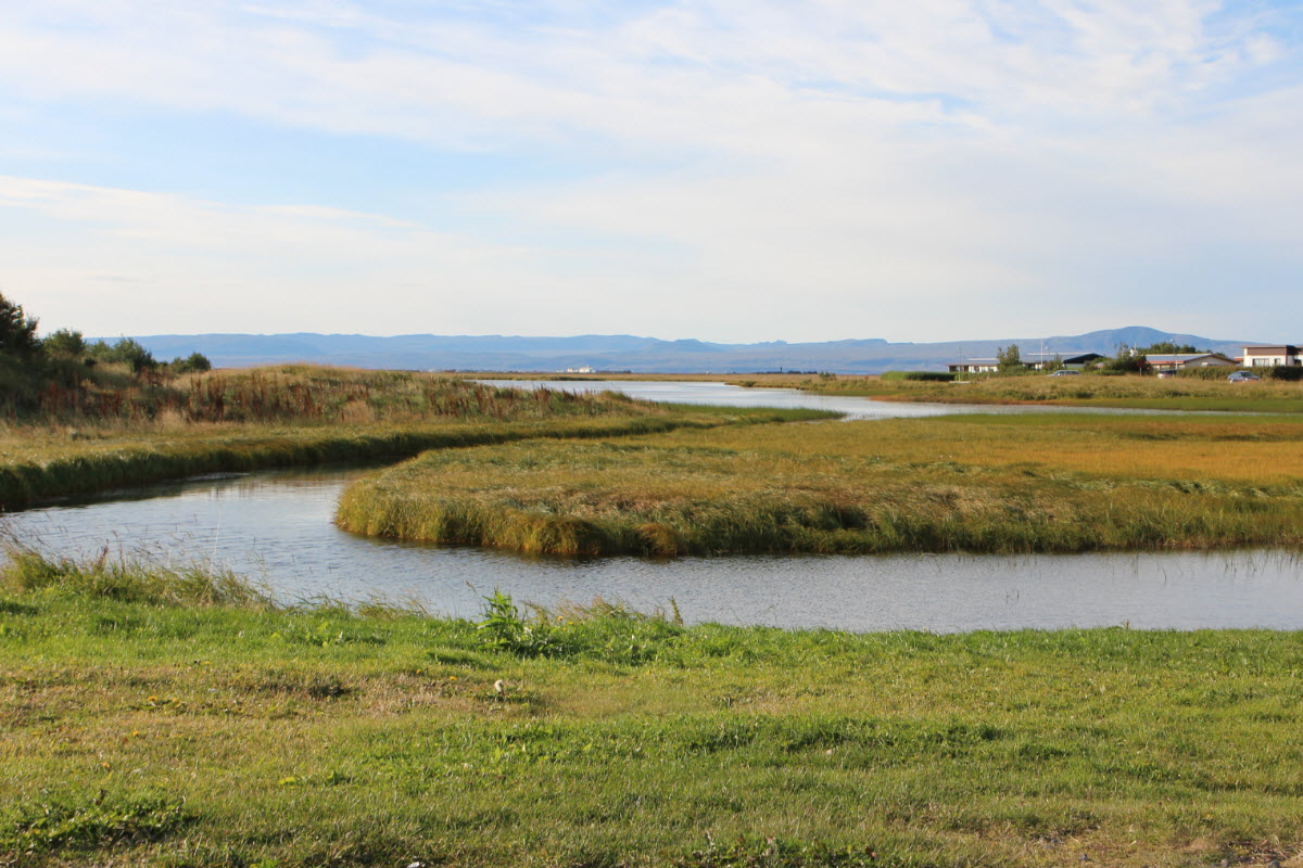 Grassy wetland and calm water beside Stokkseyri with low South Iceland hills beyond