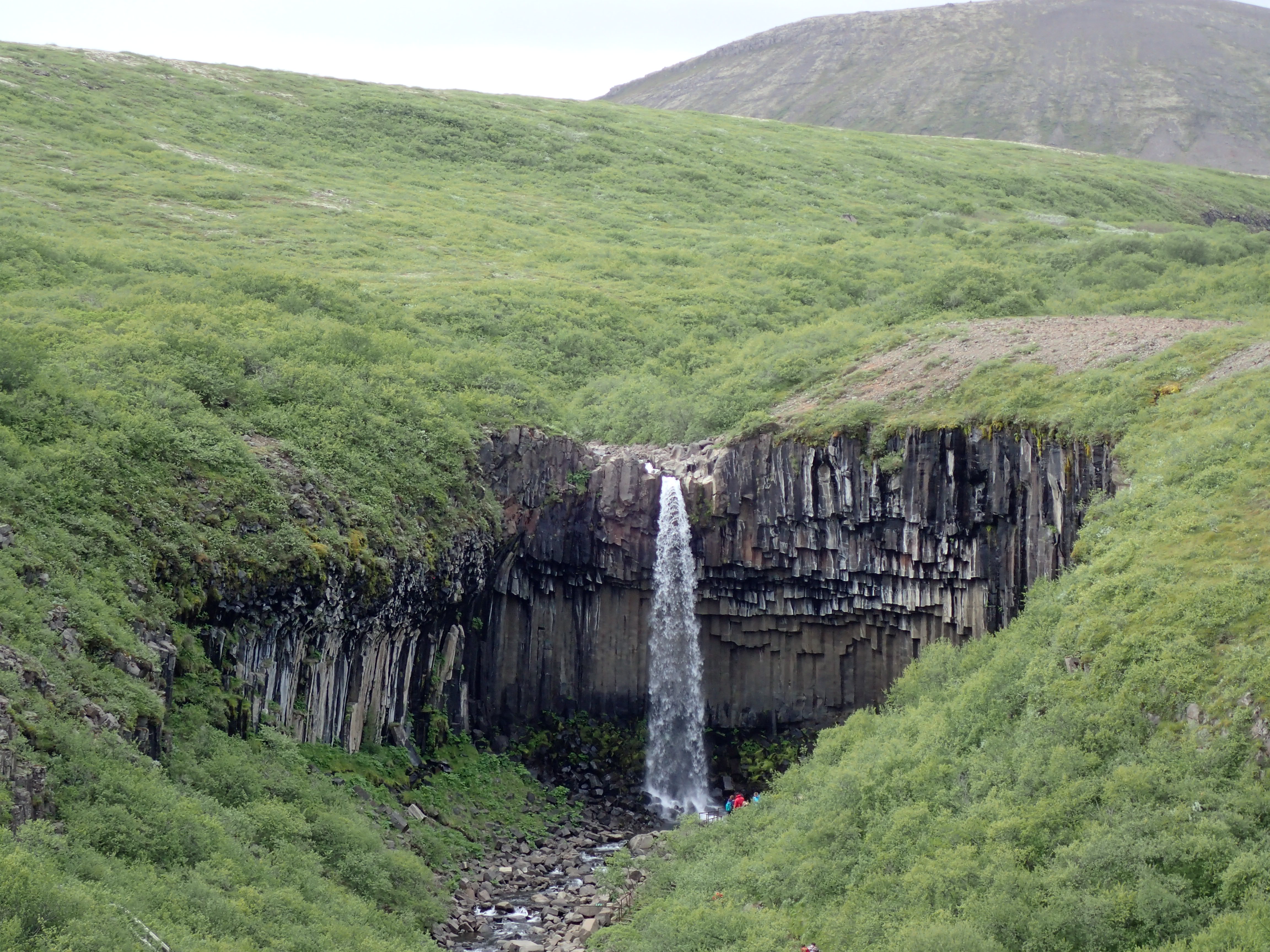Svartifoss dropping through a basalt amphitheatre below the green Skaftafell slope, with a visitor visible for scale.
