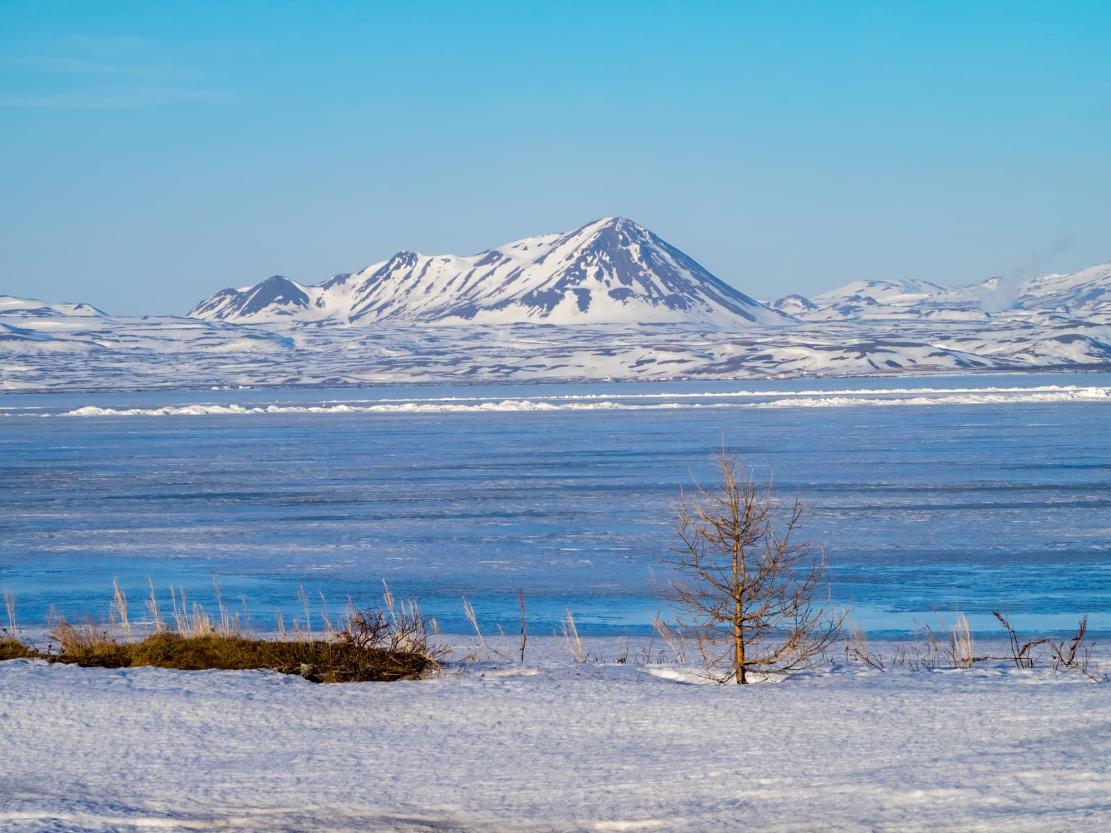 Frozen Lake Mývatn and snow-covered volcanic mountains in winter