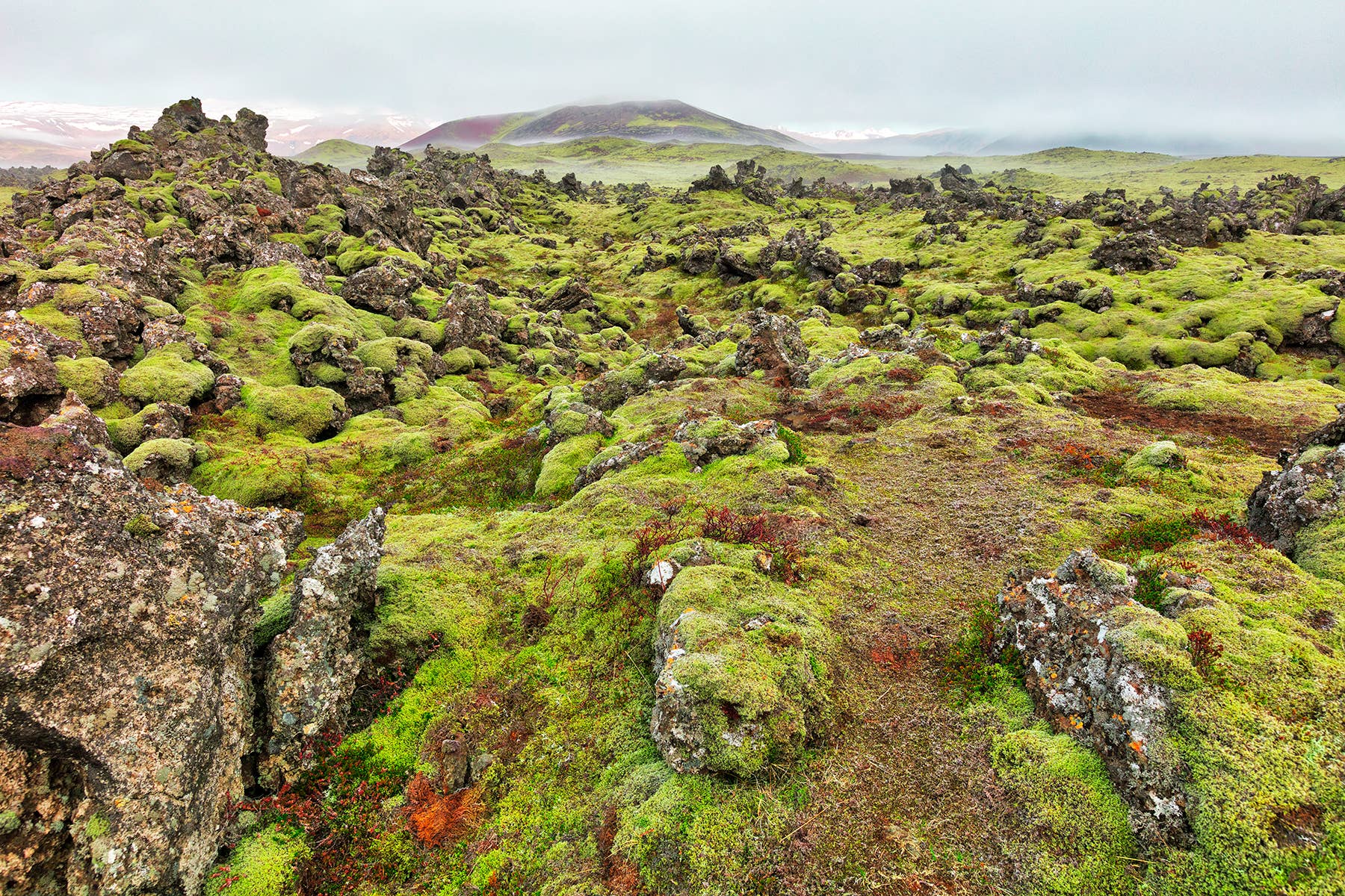 Moss-covered lava fields spread across the Snæfellsnes Peninsula route.