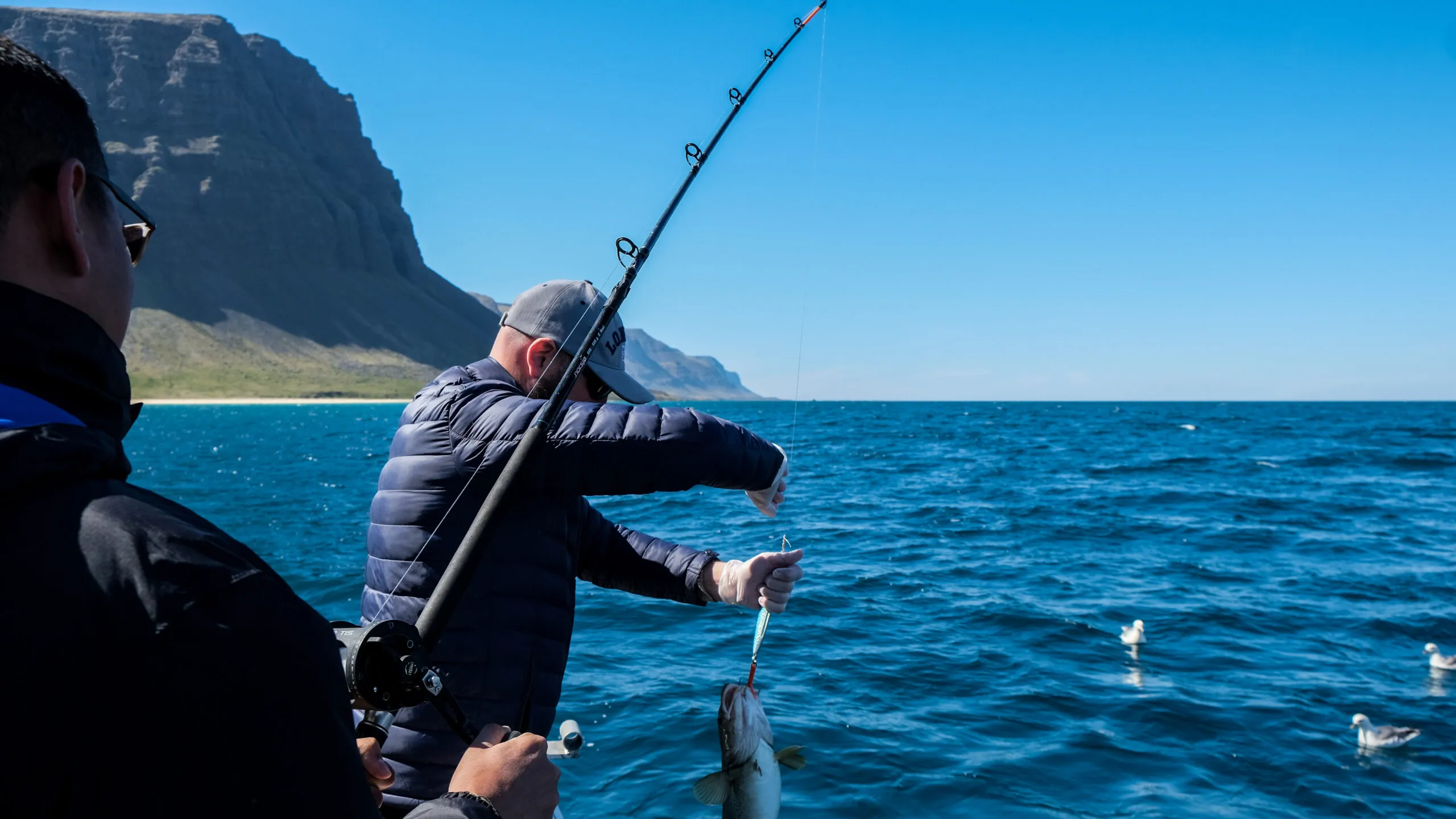 Sea angler lifting a fish beside a rod on a boat in Arnarfjörður