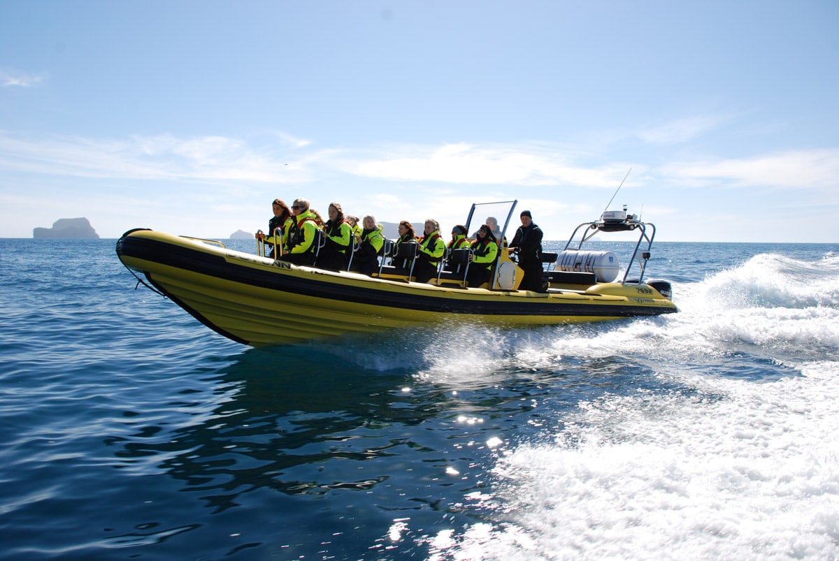 Passengers wearing flotation vests in fixed seats on a moving RIB off Iceland