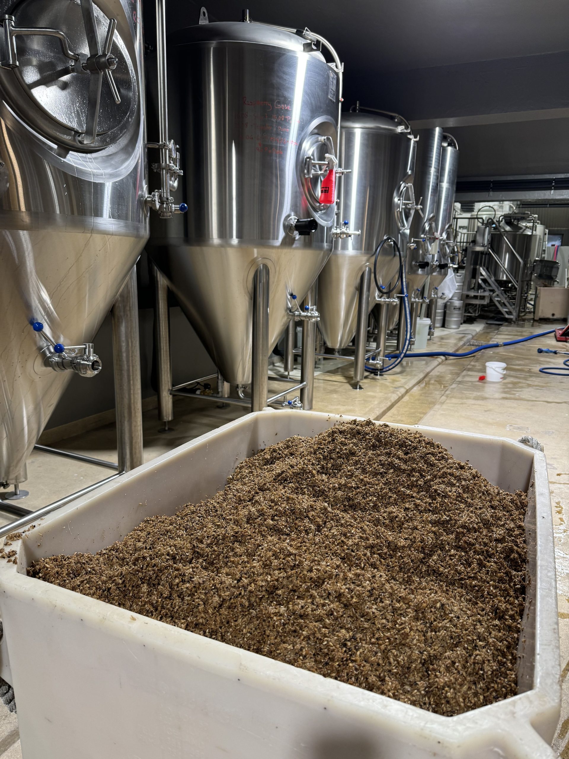 Wet brewing grain in front of stainless tanks at Horn Brugghús in East Iceland