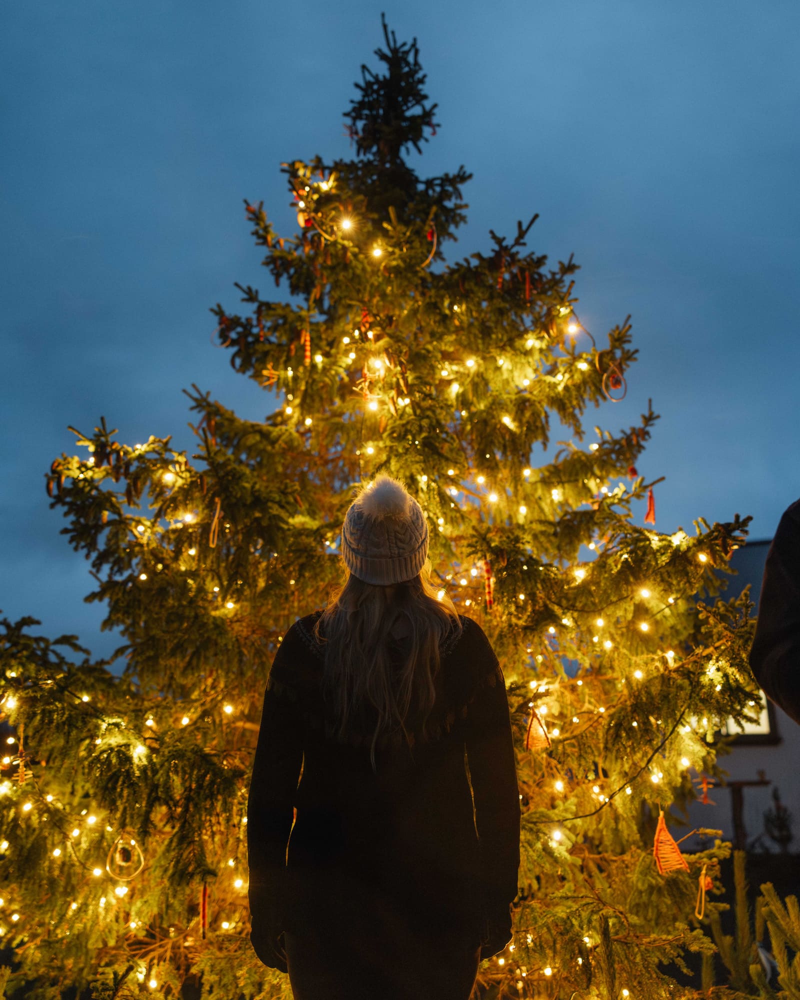 Traveler facing a large outdoor Christmas tree covered in warm lights in Reykjavík