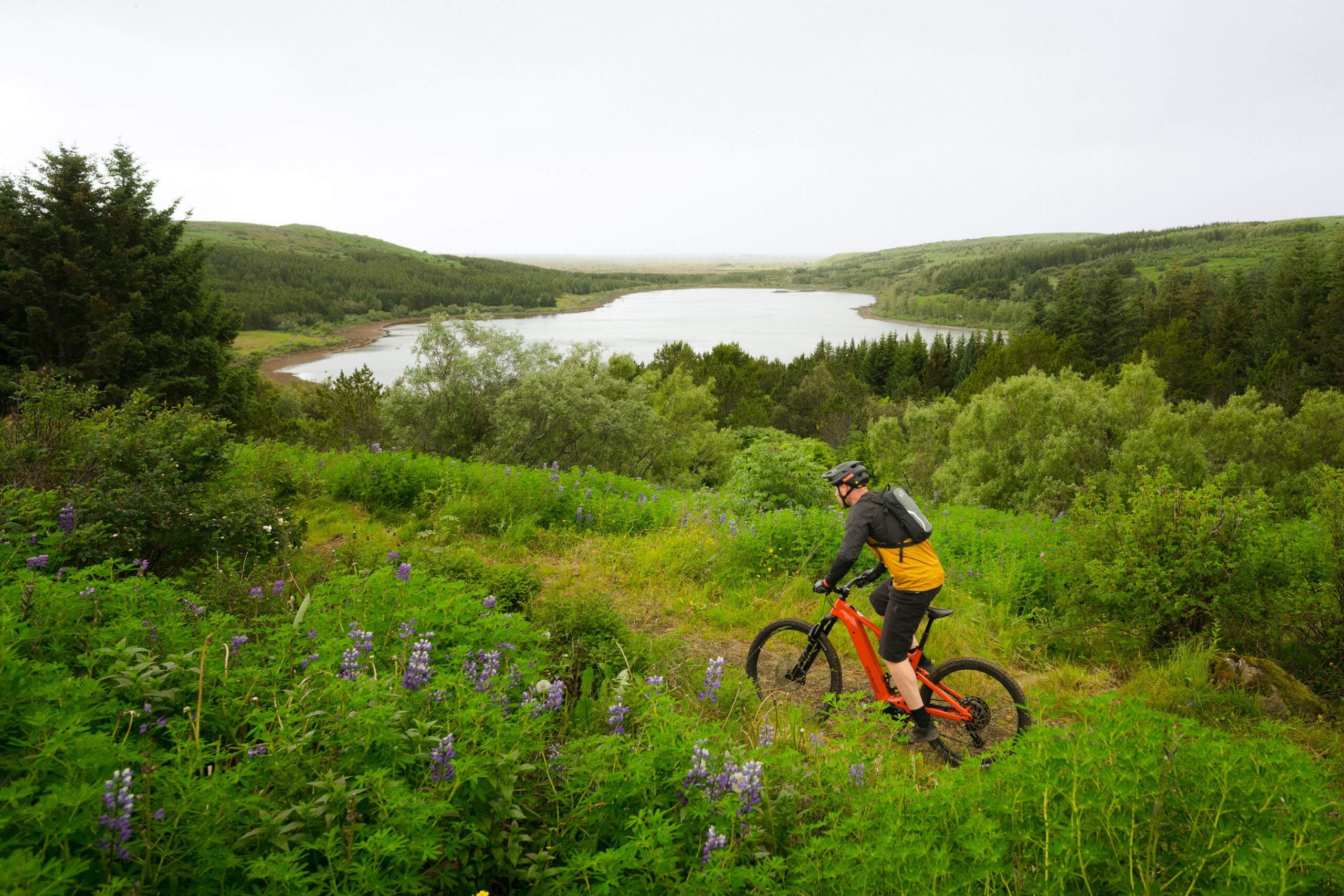 Electric mountain biker descending a green trail above an Icelandic lake