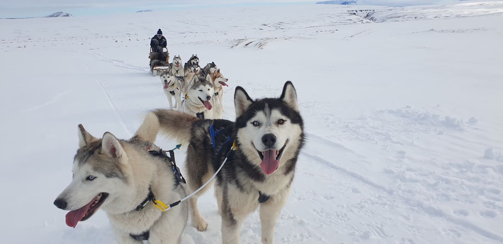 Husky team pulling a sled across a broad snowy trail below dark mountains