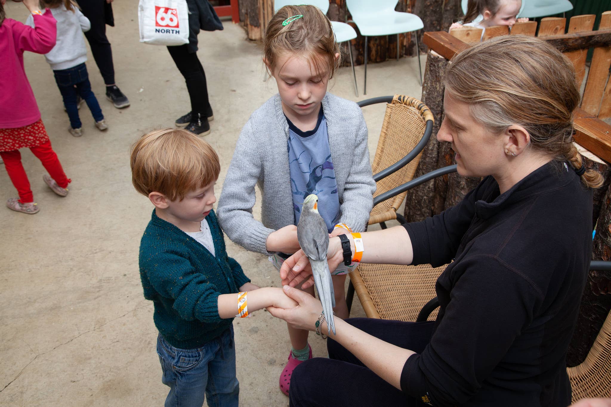 Two children meeting a small bird with an adult supervising the interaction