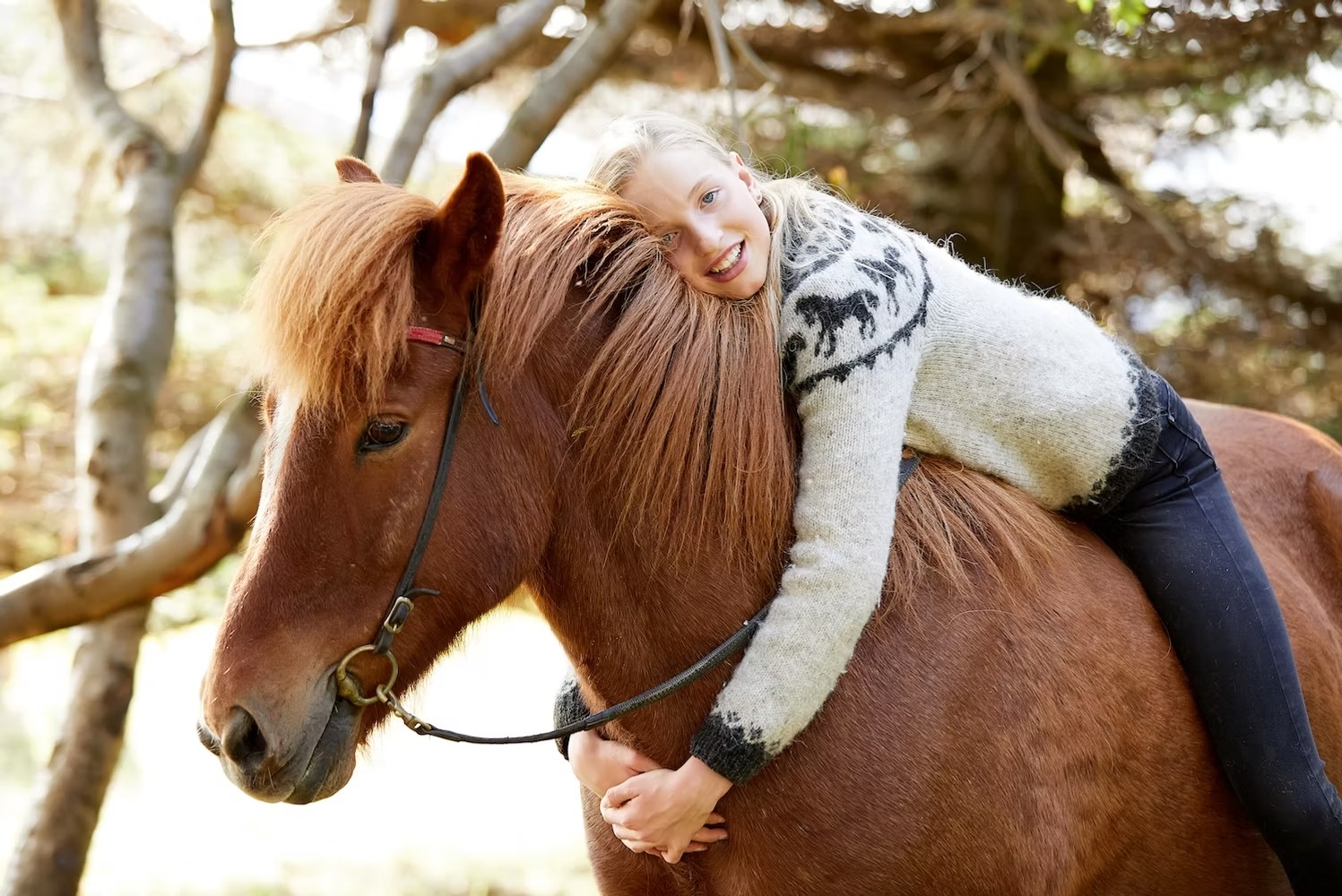 Young visitor hugging an Icelandic horse at a farm