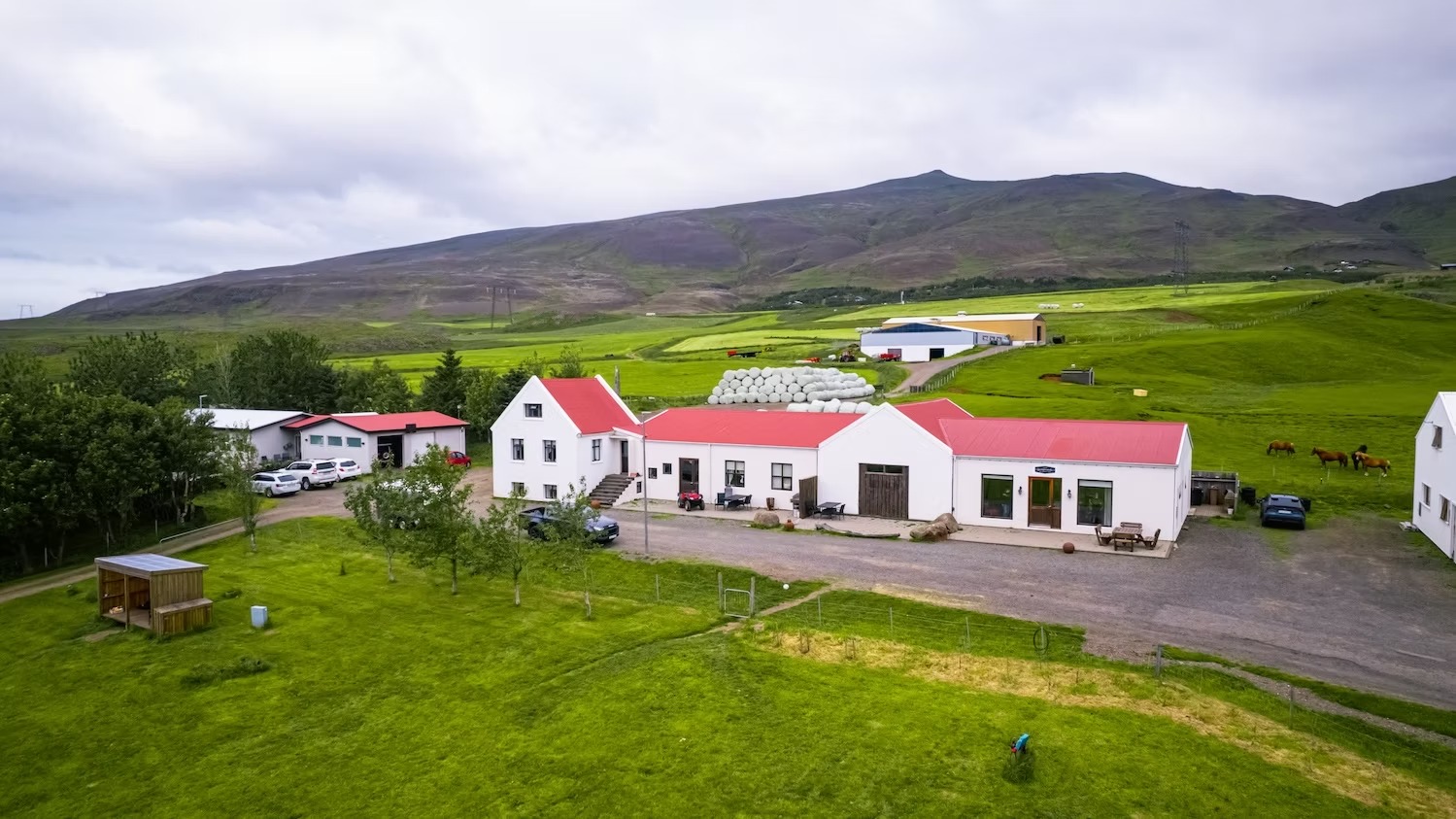 Working Icelandic farm with green fields, barns, wrapped hay, and horses