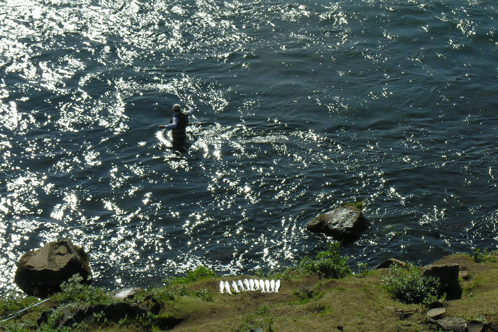 Angler wading in the broad fast-flowing Tungufljót River