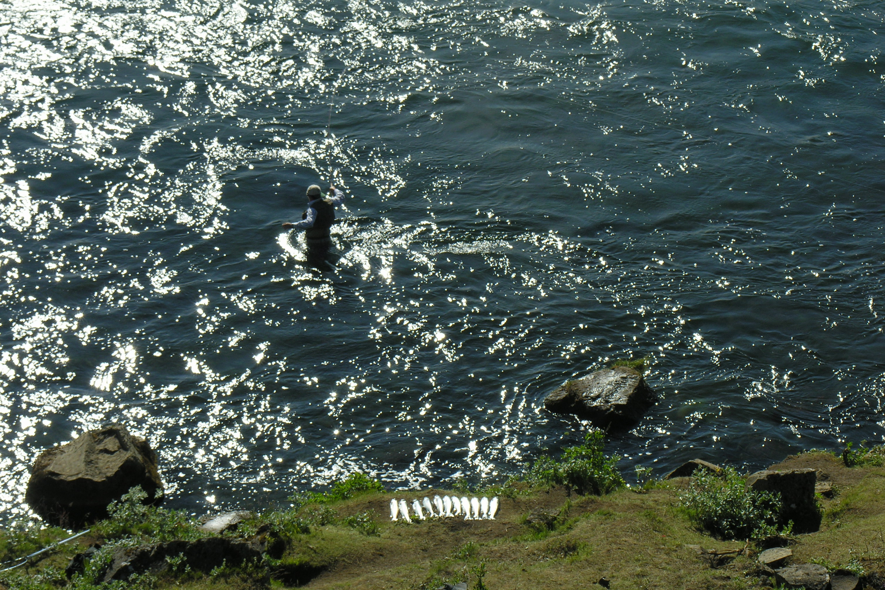 Angler wading in the broad fast-flowing Tungufljót River