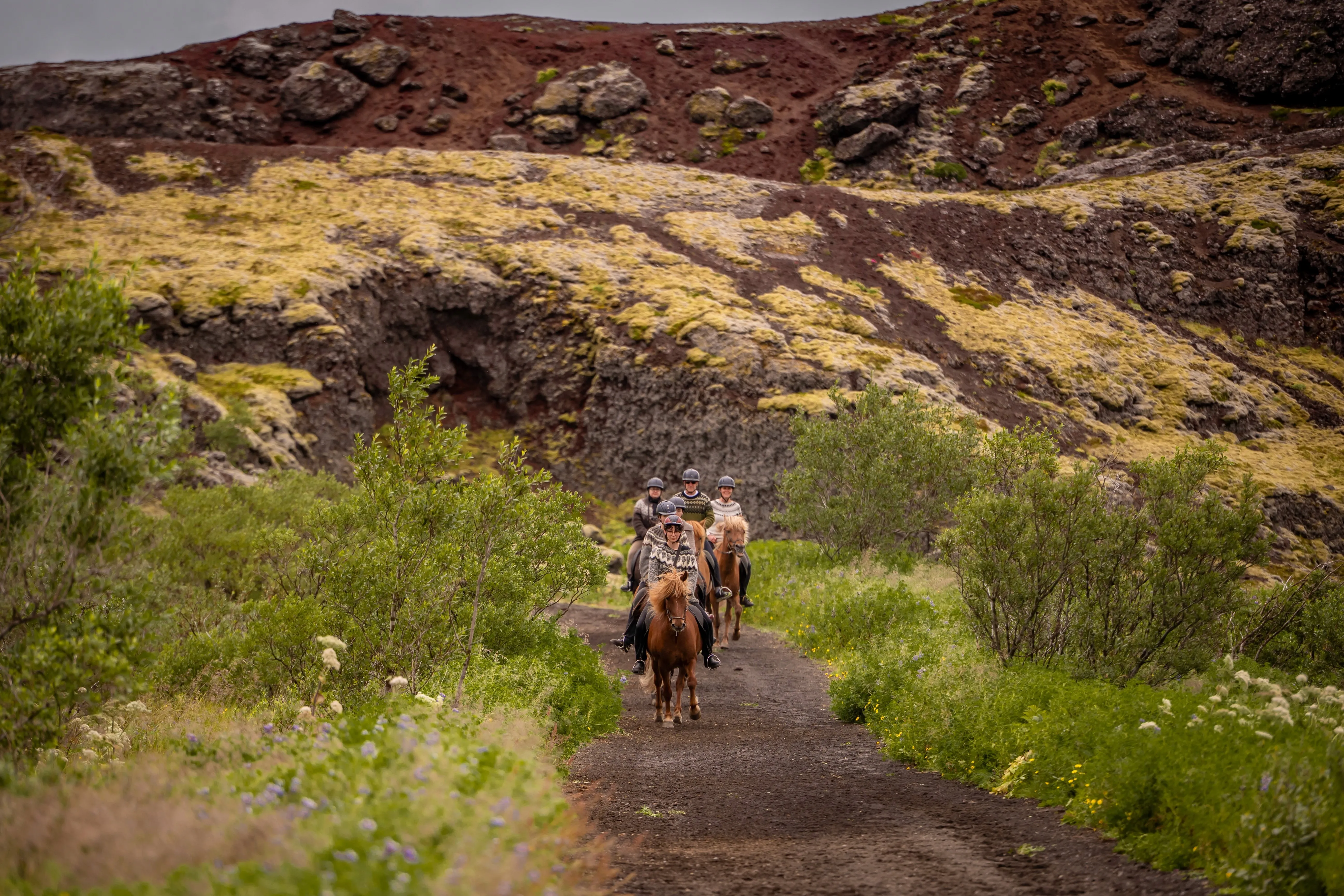 A rider on an Icelandic horse following a narrow green trail