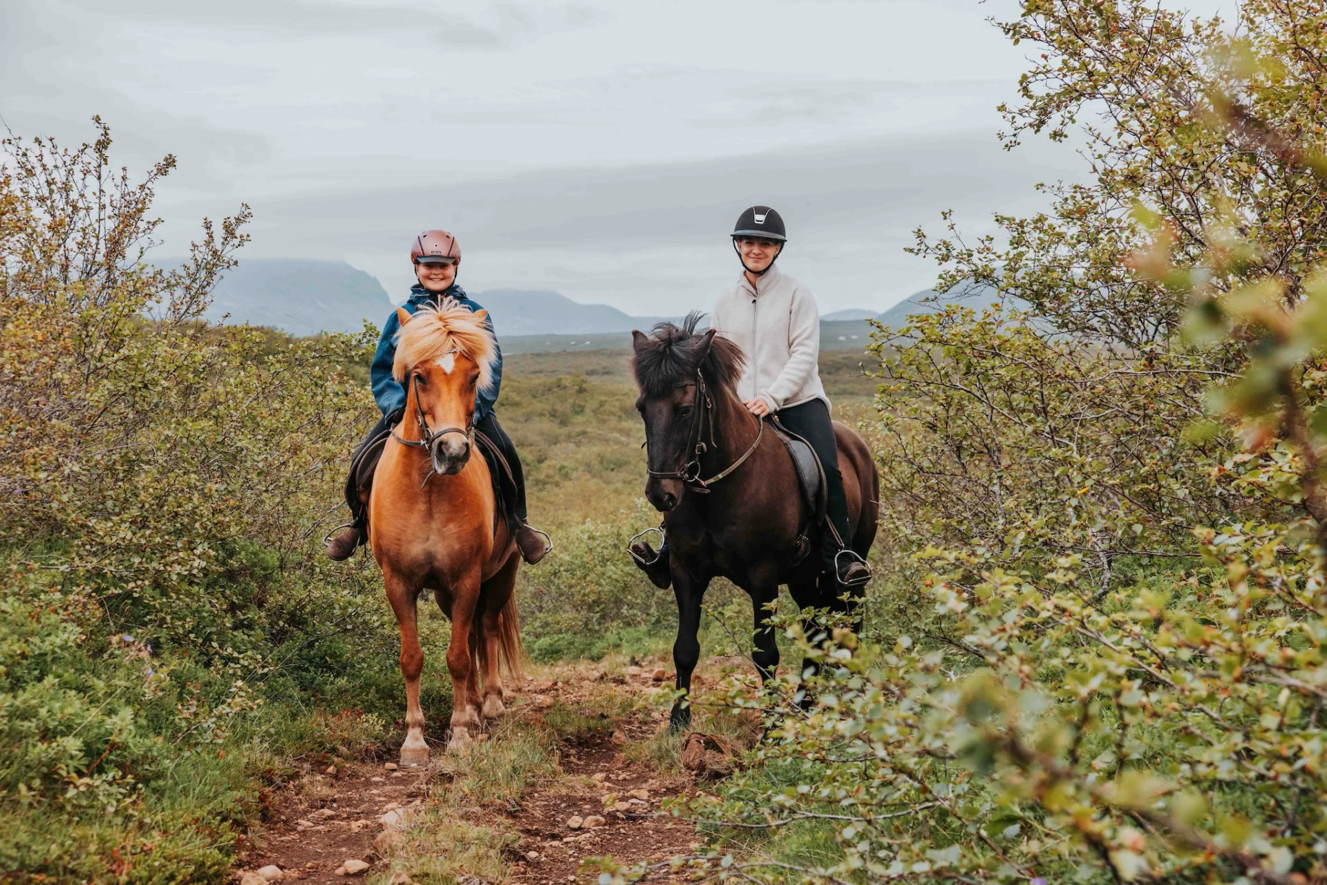 Two riders on Icelandic horses following a narrow countryside trail