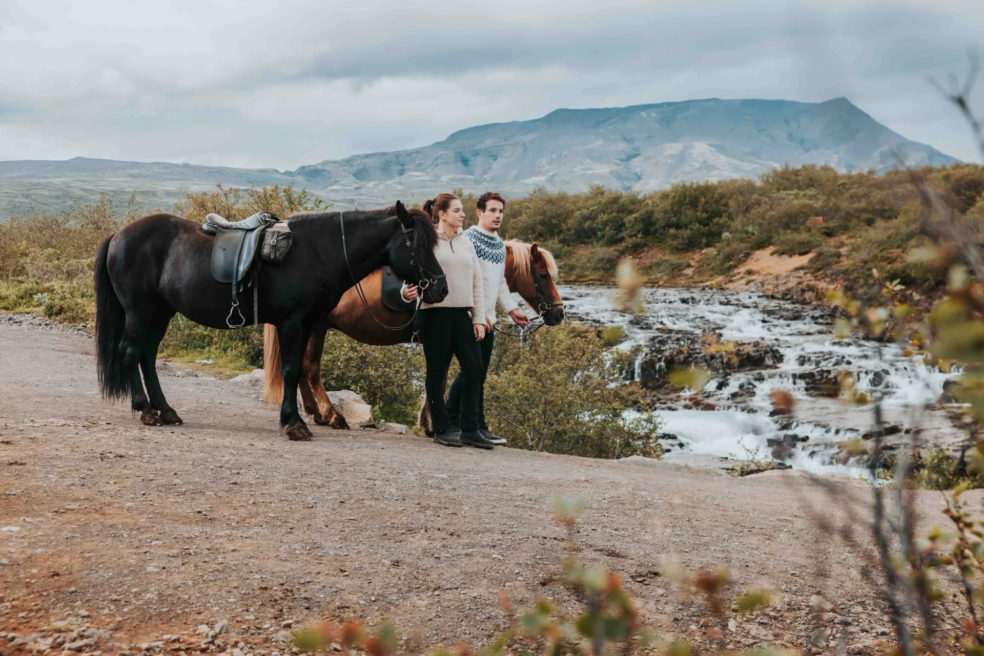 A rider on an Icelandic horse among purple lupines in Icelandic countryside