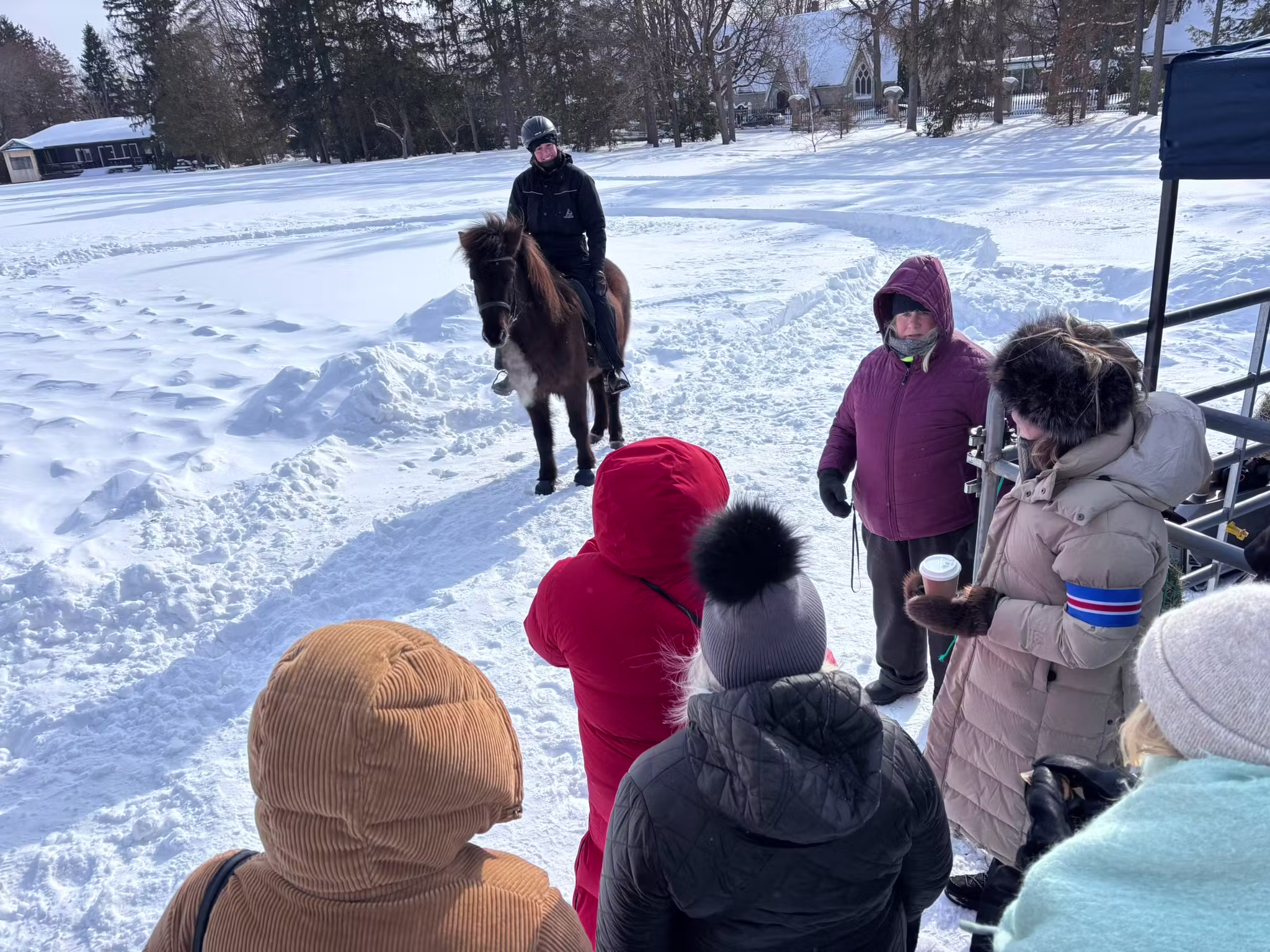 Visitors watching a rider with an Icelandic horse in snowy winter conditions