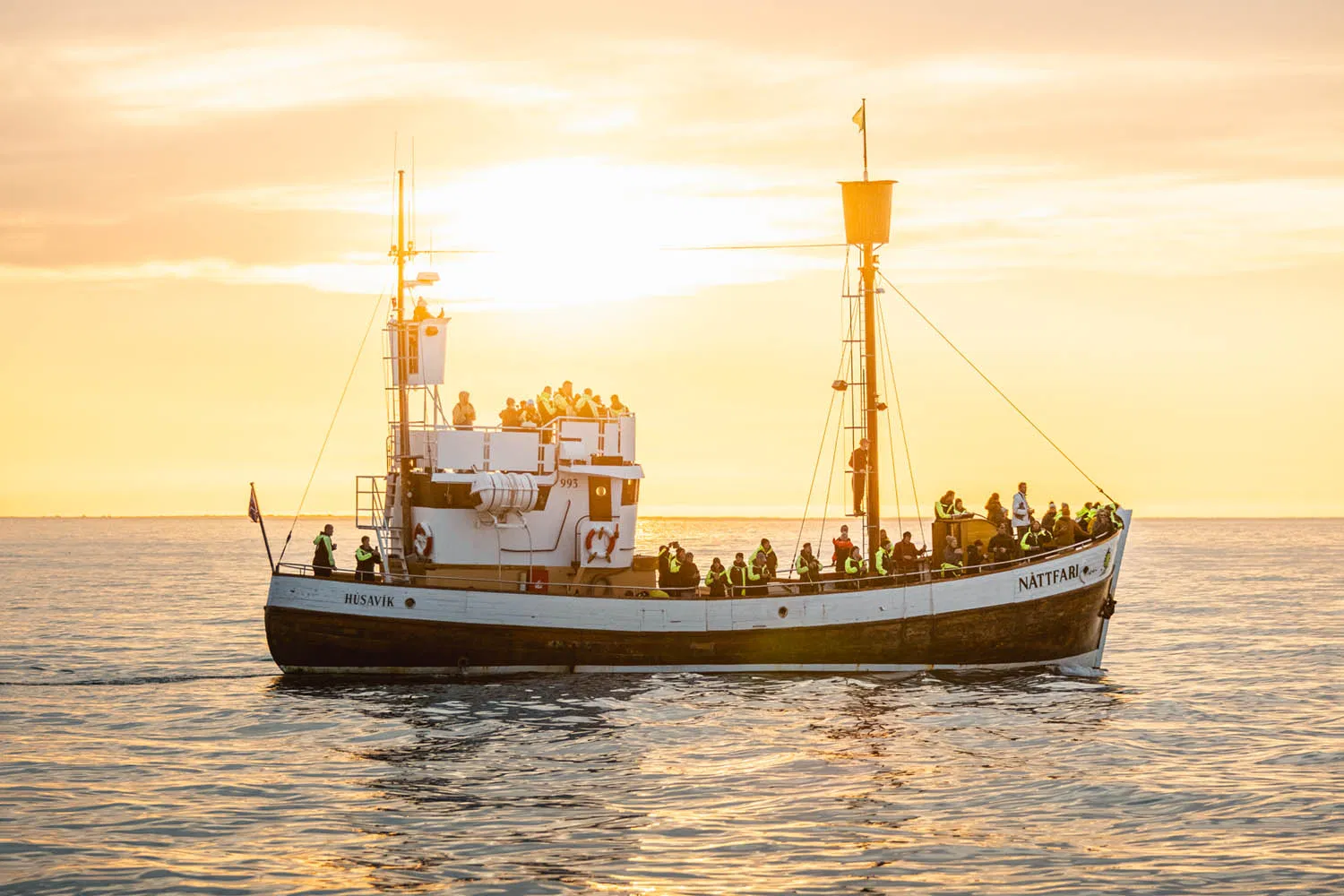 Passengers aboard a traditional oak whale-watching boat under low golden light